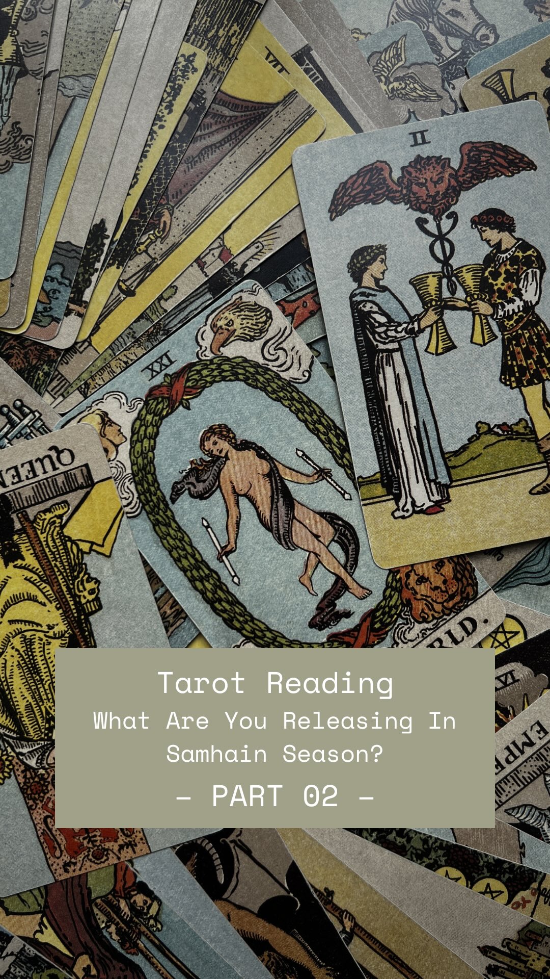head over to part 3 for the final section to this reading 🤍
only take what resonates ☺️
how are you aligning with Samhain, and its themes of death & rebirth?
🖤🕸️