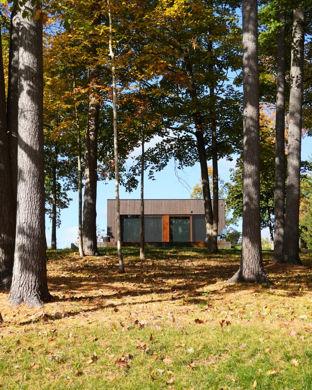 Autumn settles in around the guest house 🍂 It's a building that feels right at home in its surroundings.
Builder: Sawteeth Carpentry
Architecture and Design: @truexCullins
Landscape: @wagnerhodgson
Fenestrations: @northeasttradeservices
Windows and doors: @makrowin_eu
Siding: @deltamillworks
#sawteethcarpentry #guesthouse #adirondackbuilds #essexny #behindthebuild #craftsmanshipmatters #fallinupstateny #buildingprogress #customhomes