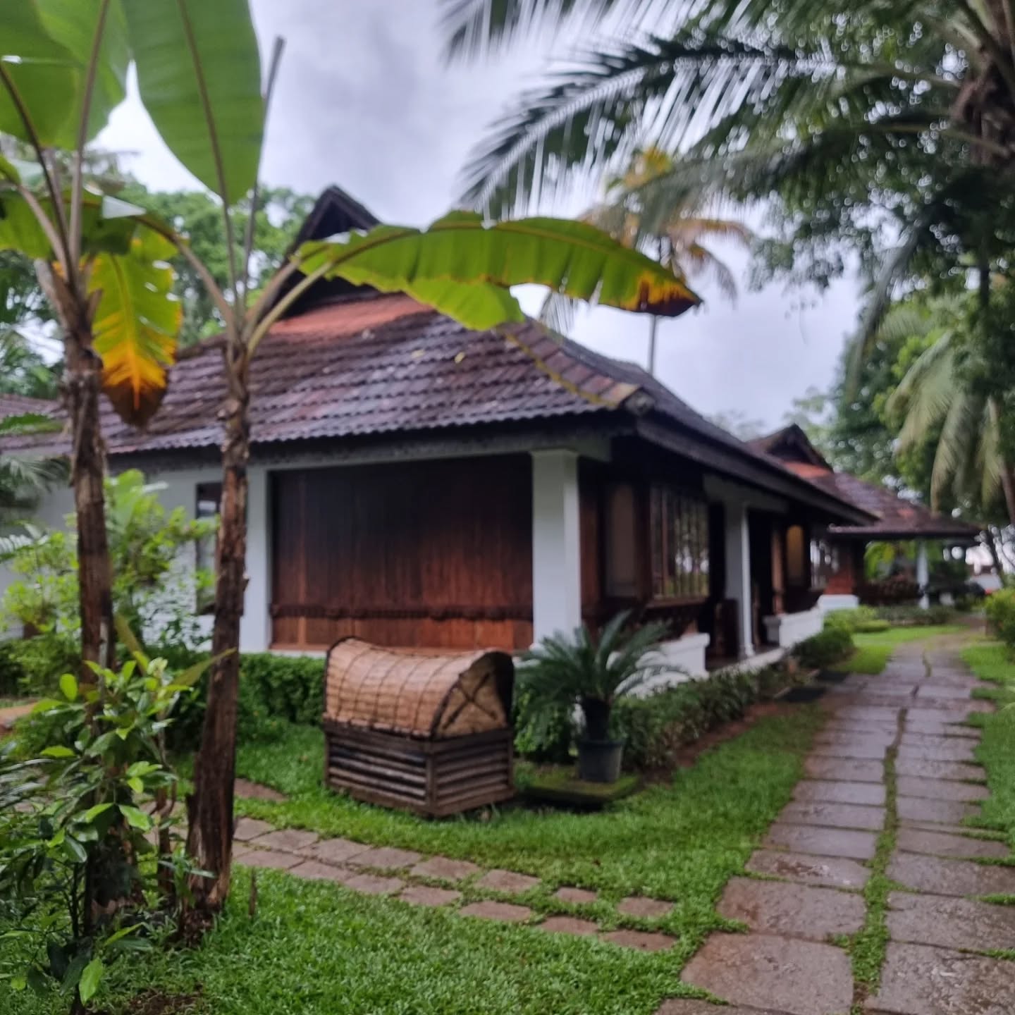 Indian home No 5. Lake Kumarakom Resort on the backwaters of Kerala. One night on a house boat cruising the back waters then a return to this tranquil Ayevedic resort in a garden paradise on the lakes edge. Indian calm.
@kumarakomlakeresort
#LakeKumarakom
#indiangarden
#keralabackwatershouseboat