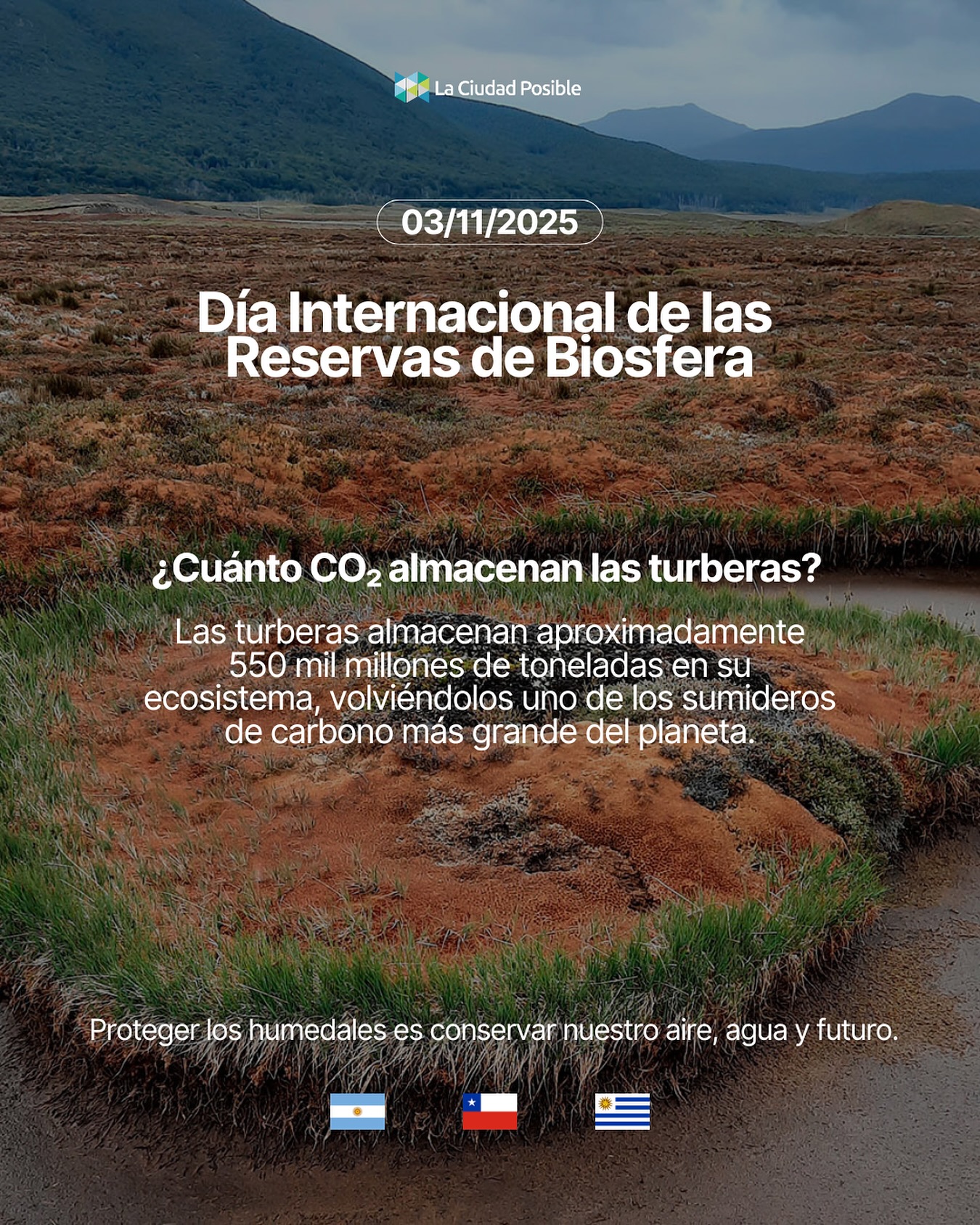 Hoy, en el Día Internacional de las Reservas de Biósfera, recordamos la fuerza silenciosa de los humedales y turberas: ecosistemas que, aunque cubren solo el 3% de la superficie terrestre, almacenan hasta el doble de carbono que todos los bosques del mundo juntos. 🌳
Al restaurar estos ecosistemas, protegemos el agua, el clima y la vida de nuestras comunidades; desde La Ciudad Posible reafirmamos la importancia de las reservas de biosfera como espacios clave para conservar la biodiversidad y promover un desarrollo verdaderamente sostenible. 🙌🏼
#DíaDeLaBiósfera #ProtecciónHumedales #RegeneraciónTerritorial