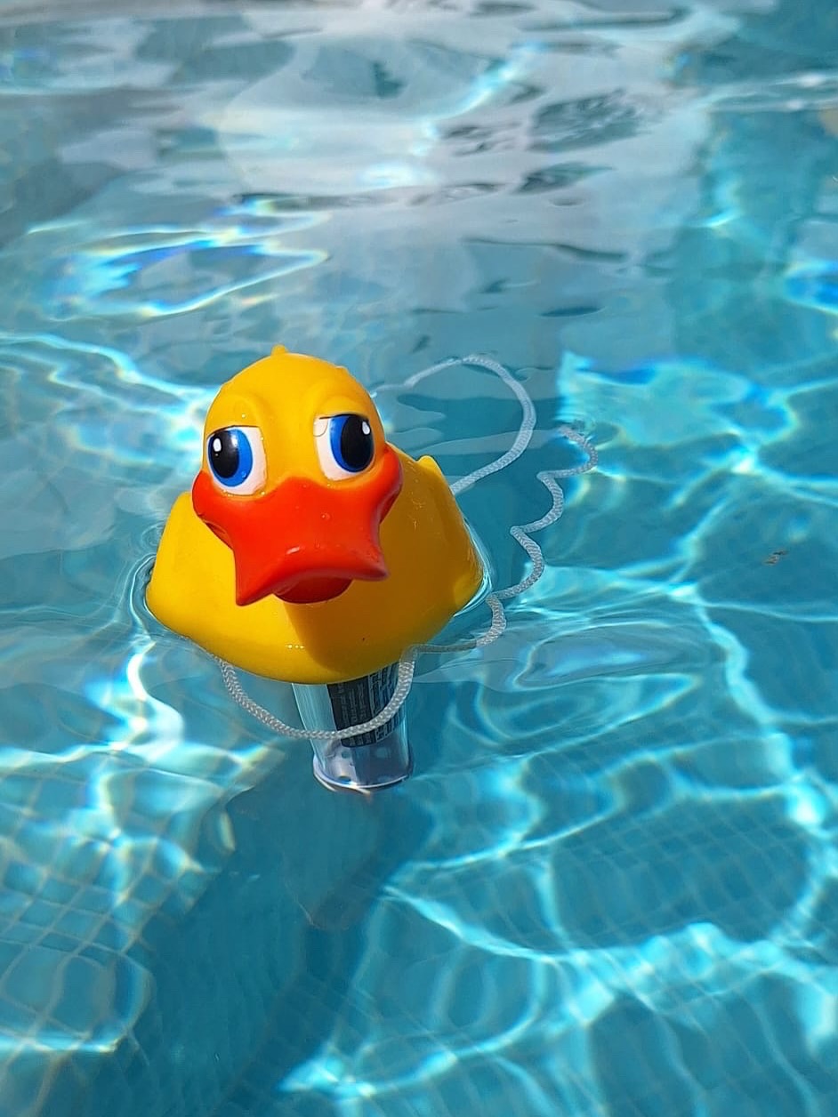 Wisten jullie dat je in casa Lita het hele jaar door kan genieten van het privé zwembad aangezien het verwarmbaar is?
Dus indien u in de winter ook graag een plonsje maakt in het zwembad, of het water in de tussenseizoenen graag iets hoger wenst, dat is allemaal mogelijk!
Het zwembad is 21m2 groot en is voorzien van een ondiep kids gedeelte waardoor ook zij op een veilige manier van het water kunnen genieten!
Heb je er al zin in? Boek dan snel je verblijf via casalita.be
#privezwembad #heerlijkgenieten #zwemmen #verwarmd #casalita.be