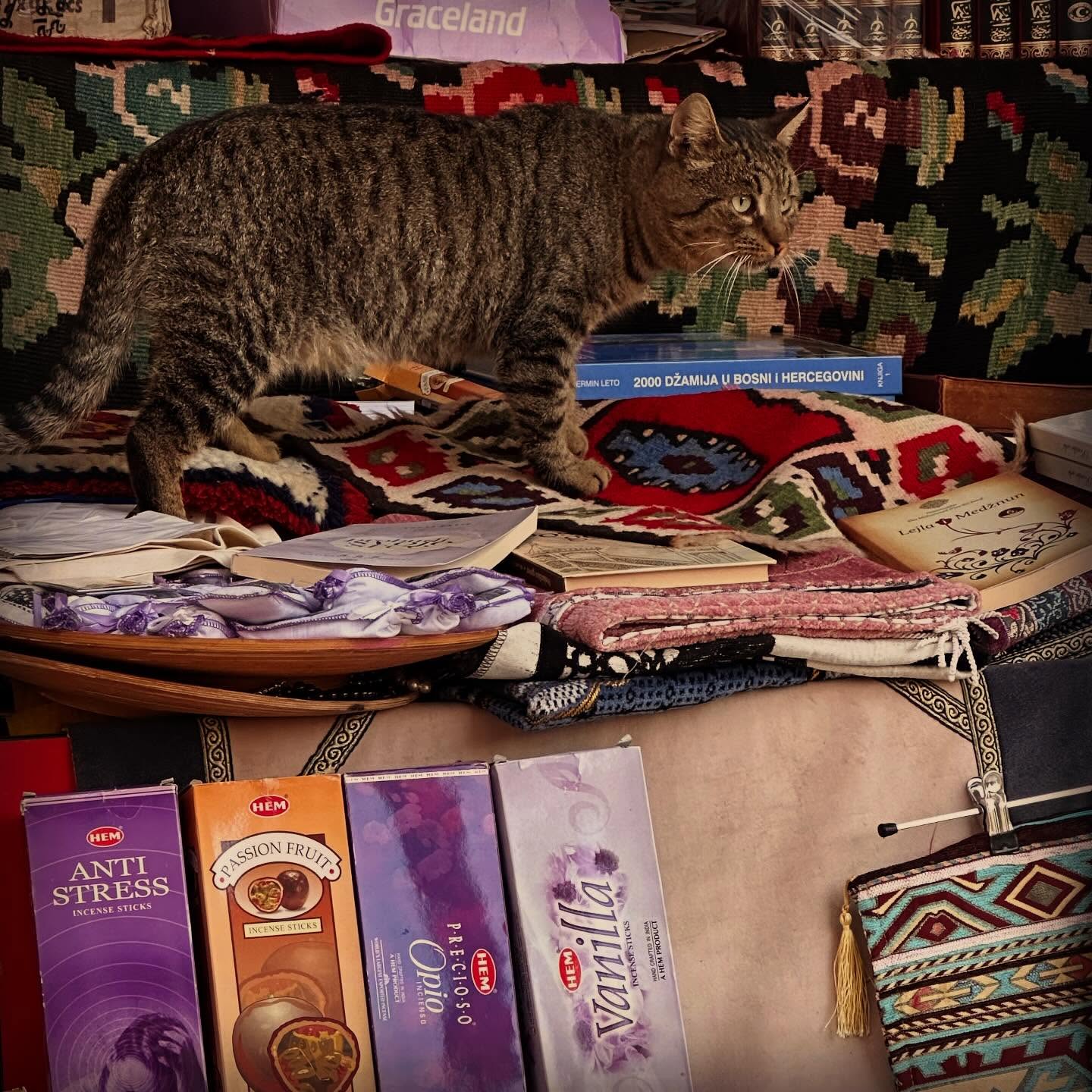 Pas de côté en Herzégovie pour voir Mostar, théâtre de la guerre de notre adolescence.
En fond des ruelles de la vieille ville et de ses ponts magnifiques il y a des immeubles détruits par les obus et les marques des conflits sont encore là.
#bosnieherzégovine #mostar #histoirecontemporaine #balkans