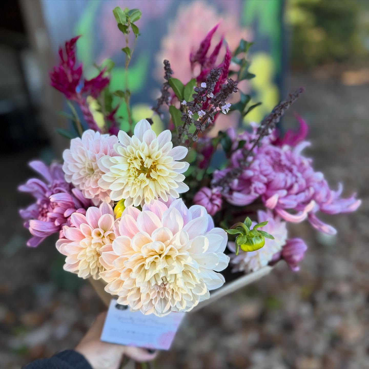 The sun is shining and it’s a beautiful day! ☀️ I thought that cold snap was going to stunt the flowers but we have some gorgeous bouquets in the farmstand today. Swing by and grab one. There are a couple with the first cuts of our newest heirloom mums and I’m in love with them. 😍