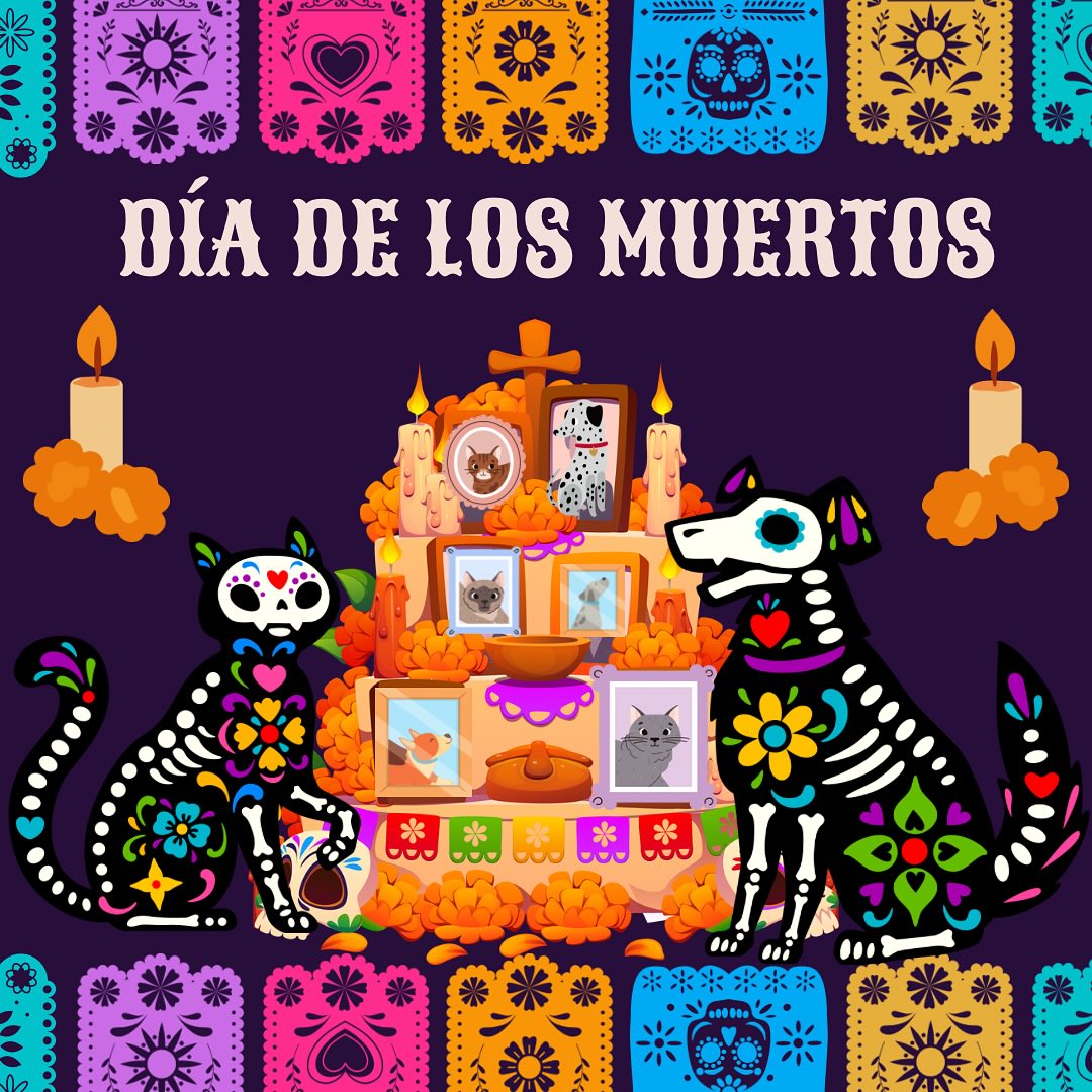 Celebrating our beloved pets this Día de los Muertos. Their paw prints may be gone, but their love remains in our hearts forever. 🐾 On our website me now have a free online pet memorial page, make yours now ! Link in bio !
How to Make an Altar for Your Pet:
1. Gather Photos and Mementos: Collect your favorite photos of your pet. Include their toys, collar, favorite treats, or anything that brings back fond memories.
2. Set Up the Altar: Choose a small table or a dedicated space. Cover it with a colorful cloth or a special blanket that belonged to your pet.
3. Add Symbolic Elements:
* Candles: Light a candle to guide their spirit back.
* Flowers: Marigolds (cempasúchil) are traditional, but any flowers your pet loved or that remind you of them will work.
* Water: Place a bowl of fresh water for their journey.
* Food: Include their favorite treats or a small portion of their food.
4. Personalize It: Add personal touches like handwritten notes, drawings, or anything that celebrates your pet’s unique personality.
This altar is a loving way to honor and remember your pet during Día de los Muertos.