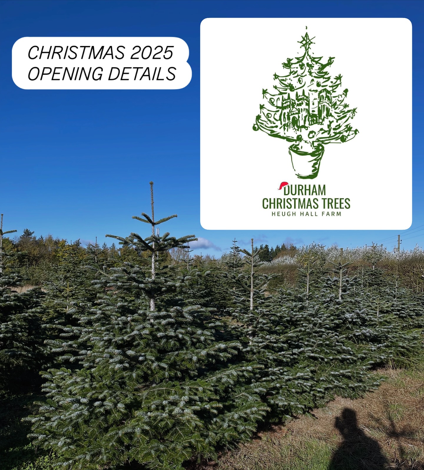 🎄Durham Christmas Trees 2025🎄 Opening Saturday 22nd November 2025 📆
🌟 Durham’s only Pick Your Own 🪚 Christmas Tree farm.
🎄 FREE ENTRY - There will be no online booking system this year.
🌟 OPENING DATES & TIMES 2025, 10.30pm - 3.30pm each day 🌟
🎄 SATURDAY 22nd NOVEMBER
🎄 FRIDAY 28th NOVEMBER
🎄 SATURDAY 29th NOVEMBER
🎄 SUNDAY 30th NOVEMBER
🎄 FRIDAY 5th DECEMBER
🎄 SATURDAY 6th DECEMBER
🎄 SUNDAY 7th DECEMBER
🌟 TREE PRODUCTS / SERVICES 2025 🌟
🎄PICK YOUR OWN plantation - Norway Spruce and Nordmann Fir. Dogs are welcome on a lead and refreshments will be available.
🎄FRESHLY CUT Nordmann Fir 5ft - 12ft & Christmas Tree stands will be for sale
🎄CLICK AND COLLECT - message us with your requirements and we can choose the perfect tree for you
Check out our website for further details durhamchristmastrees.co.uk
We look forward to seeing both new and returning customers soon 😊🤞🏻🎄
#outdooractivities #locallysourced #freshlycut #pickyourown #PYO #durham #christmastrees #northeast #durhamchristmastrees #heughhallfarm #smallbusiness #christmasiscoming #nordmann #fir #norway #spruce