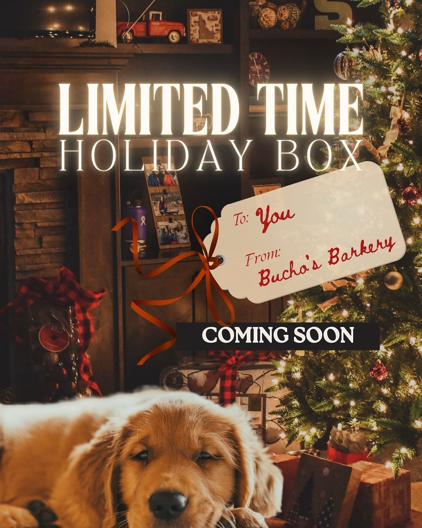 COMING SOON
Our fur-st ever holiday box is almost here — and we’re giving one away! 🎉
Stay tuned for details!