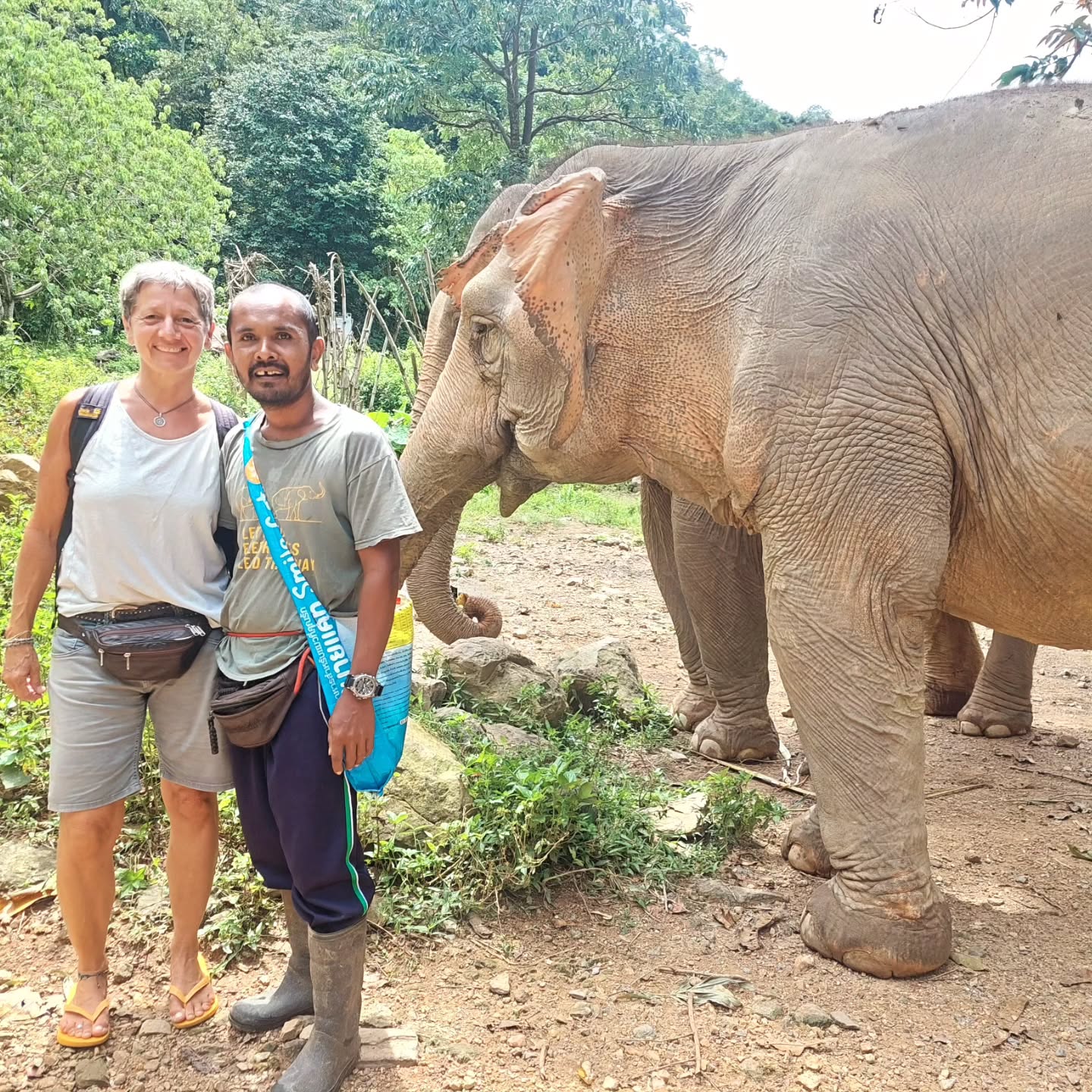 Mit Ko Lanta sind wir durch das Erleben des Tsunamis 2004 mit unseren Kindern besonders verbunden. Immer wieder freuen wir uns, wenn wir dort mit unseren Freunden Zeit verbringen können. Jan und Dam arbeiten in einem Elefanten Camp, das den Tieren ein Leben in einem möglichst natürlichen Umfeld ermöglicht. Die Elefanten werden nur beobachtet. War sehr cool... Dort haben wir auch das Flug-/Gleithörnchen am Baumstamm getroffen.
Leider war unsere Zeit auf Ko Lanta insgesamt sehr verregnet, so dass wir uns jetzt ein wenig früher in Richtung Phuket aufmachen.