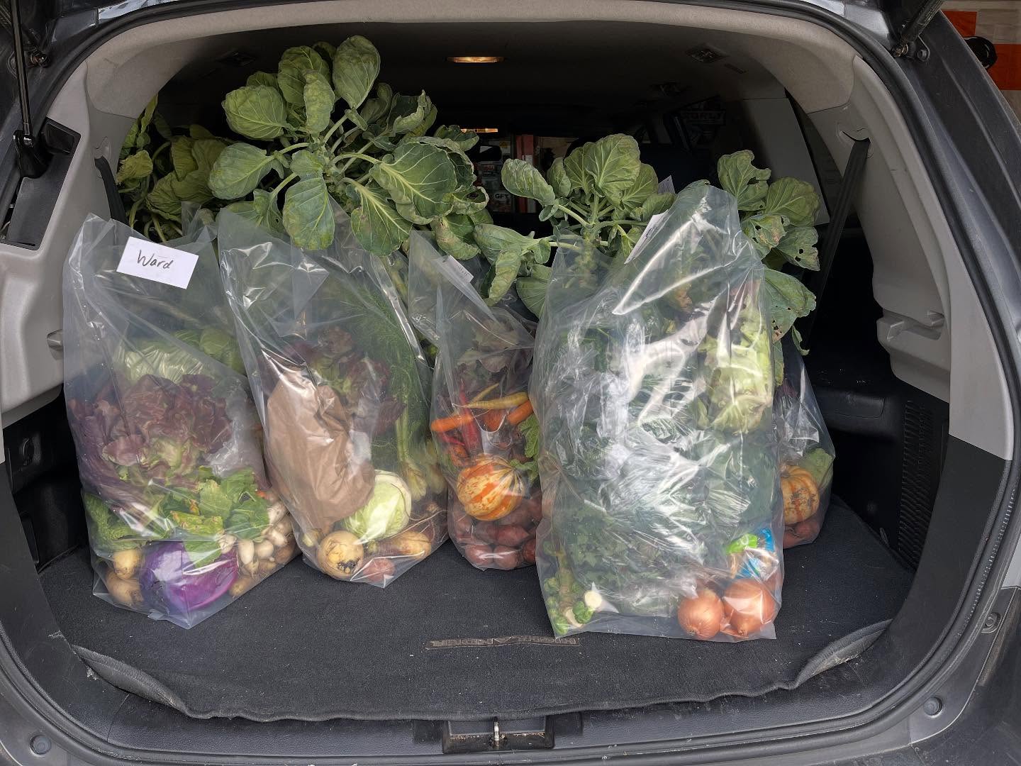 Fall CSA share 2. #mngrown #csashares #eatlocallygrown #seasonaleating #eatlocal #localproduce #organicfarm #fourseasonfarm