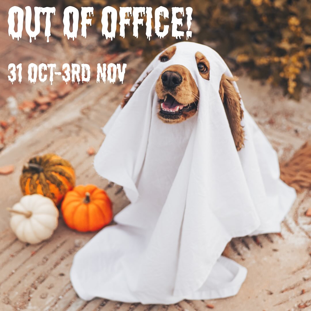 Out of office 🎃
Just a friendly reminder that we will be out of office until Monday 3rd for Birthday celebrations!
Any enquiries please leave a message or email us at info@furapy.uk 🦇