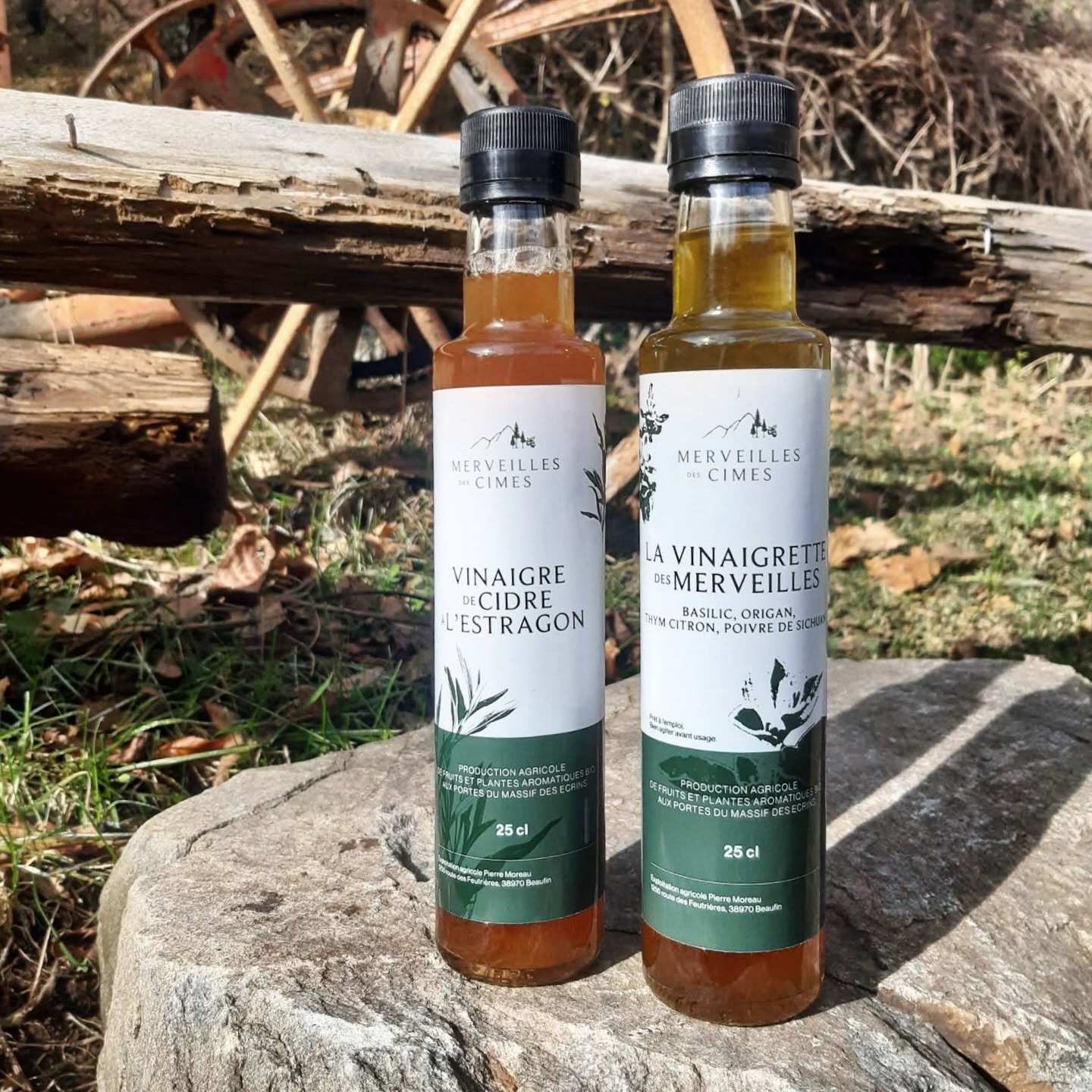Deux nouveaux produits viennent d’arriver :
- le vinaigre de cidre à l’estragon
- la vinaigrette des Merveilles
Deux produits parfumés à souhait pour toujours plus de plaisir ! 😋
Un mot en plus concernant la vinaigrette des Merveilles :
Il s’agit d’un mélange d’huile d’olive au basilic et poivre de Sichuan et de vinaigre de cidre à l’origan et thym citron.
Imaginez l’huile d’olive enrober votre palet puis les bulles de vinaigre exploser en bouche, chacun d’eux délivrant leurs arômes des plantes cultivées à la ferme !
Une expérience gustative particulièrement envoûtante 😋
À découvrir dès aujourd’hui : directement à la ferme, au magasin La Brouette Gourmande (Aubessagne), au marché de Gap le samedi matin.
#agriculturebiologique #merveillesdescimes #isereledepartement #labrouettegourmande
#champsaurvalgaudemar