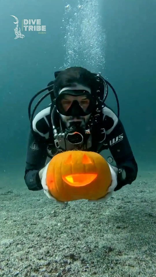 HAPPY HALLOWEEN!👻🎃
We've been busy getting our @paditv Underwater Pumpkin Carving Certification.
A bunch of hokus pokus and good vibes!
#halloween #scubadiving #jointhetribe
#padi #paditv #pumpkincarving #ocean