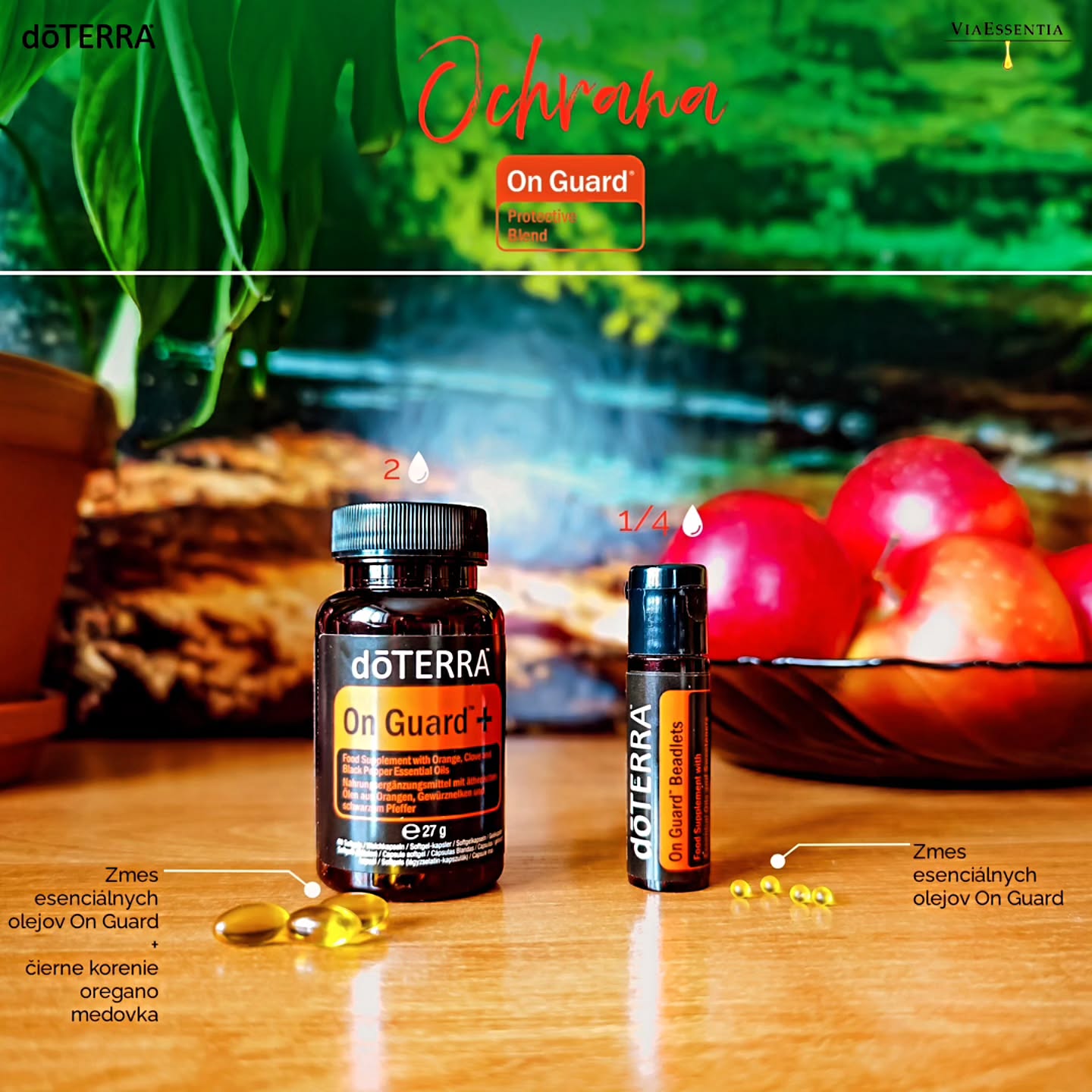 🛡️🍂☃️On Guard v akejkoľvek podobe je MUST HAVE pre jesenné a zimné obdobie.
Ako ochrana pred sezónnymi hrozbami Vám bude stačiť jedna Beadletka ráno.
Pokiaľ ich užívate preventívne 👉 stačí užiť naozaj len 1 - 2 Beadletky denne (druhú najmä pri zvýšenej psychickej či fyzickej záťaži).
🔺🔻🔺🔻🔺🔻
Ak už ani On Guard Beadlets nestačia na útoky z prostredia a prejavia sa príznaky choroby - začnite užívať kapsule On Guard +, ktorých zloženie je upravené tak - aby potvory, ktoré prenikli našou ochranou - boli likvidované.
🦠Patogény nemajú radi čierne korenie, oregano ani medovku - eseneciálne oleje z týchto rastlín ich zabíjajú, a preto je On Guard + skvelou voľbou ak chcete imunitu nie len podporiť, ale na patogény aj priamo útočiť.
-----------------------------------------------------------------------
On Guard + aj On Guard Beadlets nájdete v sezónnych odporúčaniach 👉 odkaz v profile
#jesen #onguard #podpora #ochrana #esencialne #teplo #prirodnacesta #oregano #ciernekorenie #medovka #viaessentia