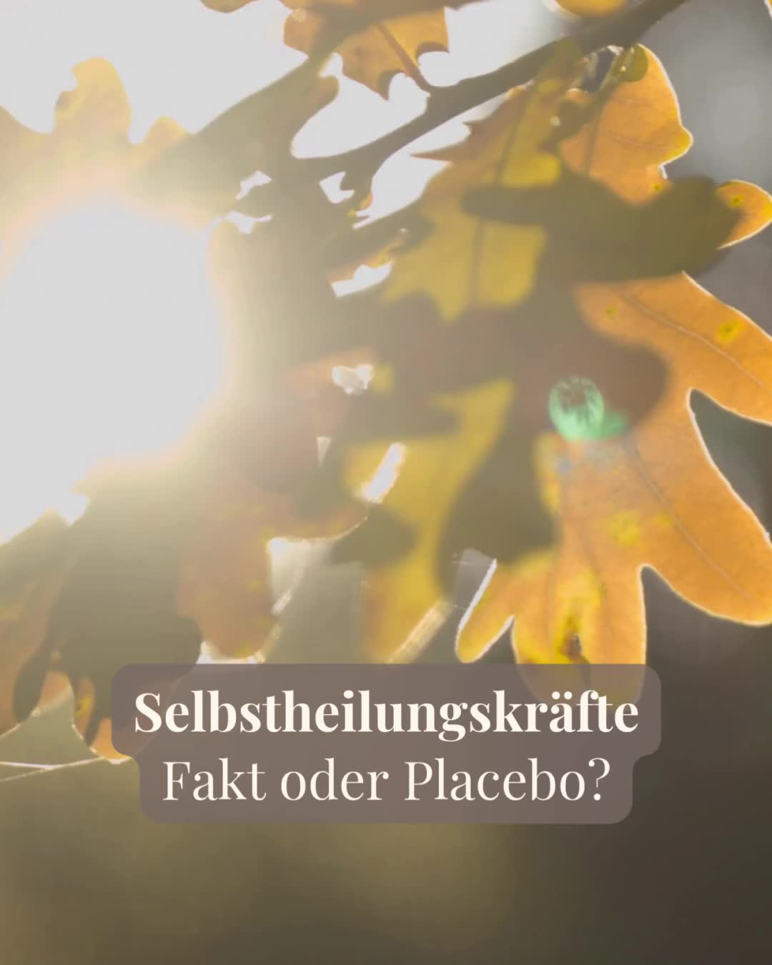 Selbstheilung ist kein mystischer Vorgang – sie ist ein biologisches Prinzip deines Körpers.
Zellen erneuern sich, Wunden heilen, dein Immunsystem reagiert – Tag für Tag.
Doch damit diese Prozesse wirken können, braucht dein Körper Ruhe, Vertrauen und Raum.
Du kannst die Selbstheilung nicht erzwingen, aber du darfst sie unterstützen – durch Atmung, Bewegung, gute Ernährung, Lachen, Dankbarkeit und naturheilkundliche Begleitung.
Und wenn ihre Grenzen erreicht sind, wende dich an deine Ärztin oder deinen Arzt des Vertrauens.
#selbstheilungskräfte #naturheilkundefürfrauen #ganzheitlichegesundheit #heilkraftdernatur #fevita