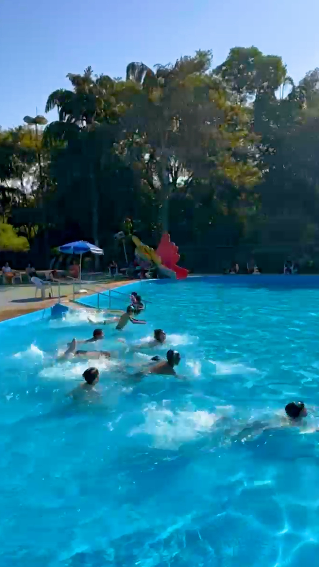 Vai, tubarão! 🦈💙
É assim que se começa a tentar atravessar a piscina. Entre risadas, esforço e incentivo, tudo faz parte do processo de aprendizagem.
As aulas de iniciação acontecem sempre em piscinas rasas, garantindo que as crianças se sintam seguras, testem seus limites e ganhem confiança passo a passo. 🌊
Parceiros como @oficialnuclea, @fundacaocsn, @institutoyduqs e @mitsuisumitomoseguros_oficial tornam possível ver essa transformação acontecer a cada nova aula. ✨