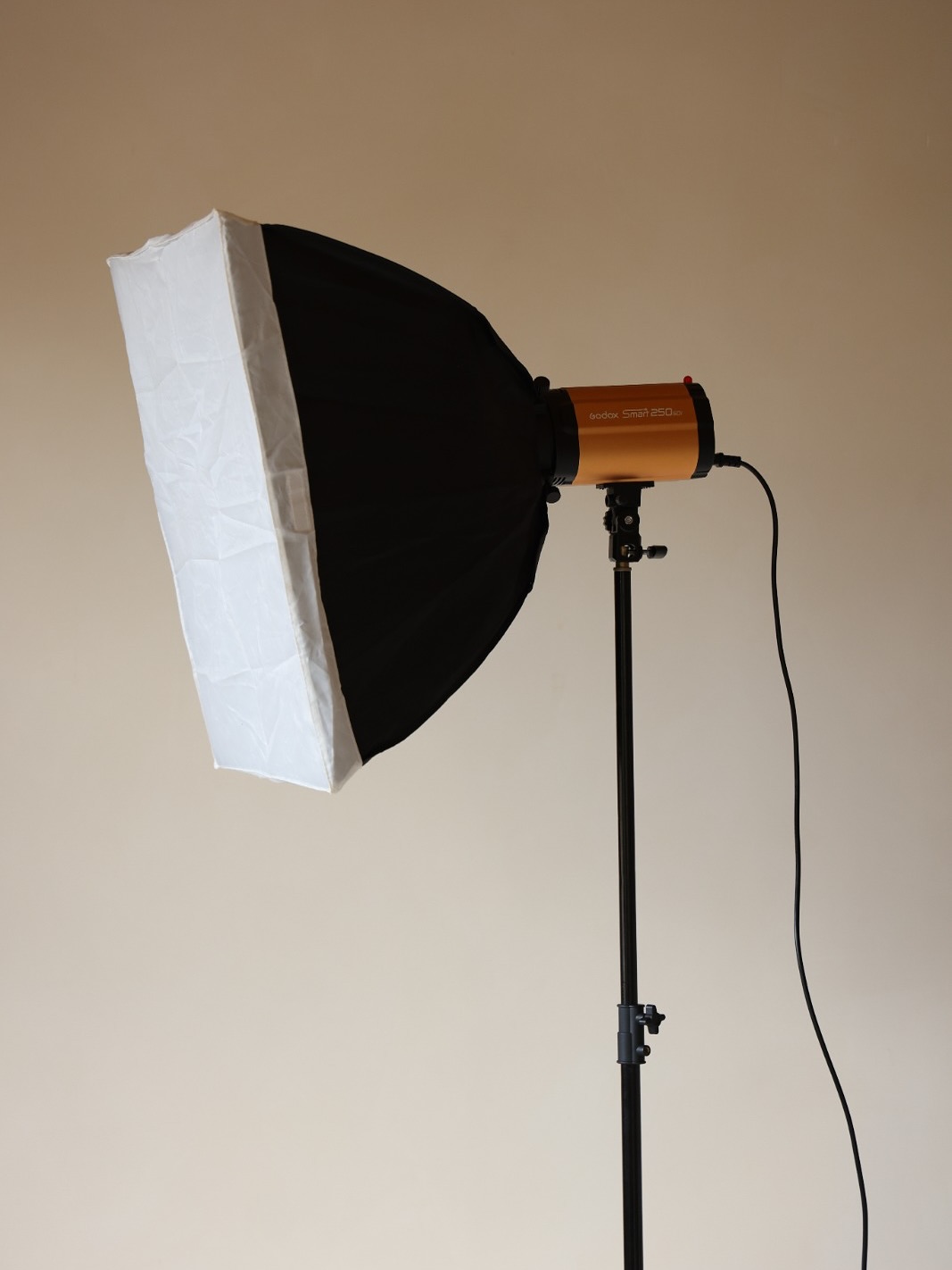 Op verzoek hebben we de studio uitgebreid met een nieuwe GODOX lampenset, inclusief flitser en twee softboxen. Zo kun je ook tijdens de donkere dagen die eraan komen blijven shooten met perfect licht.
Boek eenvoudig online en voeg de lampenset toe aan je reservering voor €50 per shoot! 📸
#fotostudio #photostudio #daglichtstudio #daylightstudio #haarlem #fotografie #photography #shootlocatie #shootlocation #photospace #haarlemvenue #amsterdamvenue #rentallocation #verhuurruimte