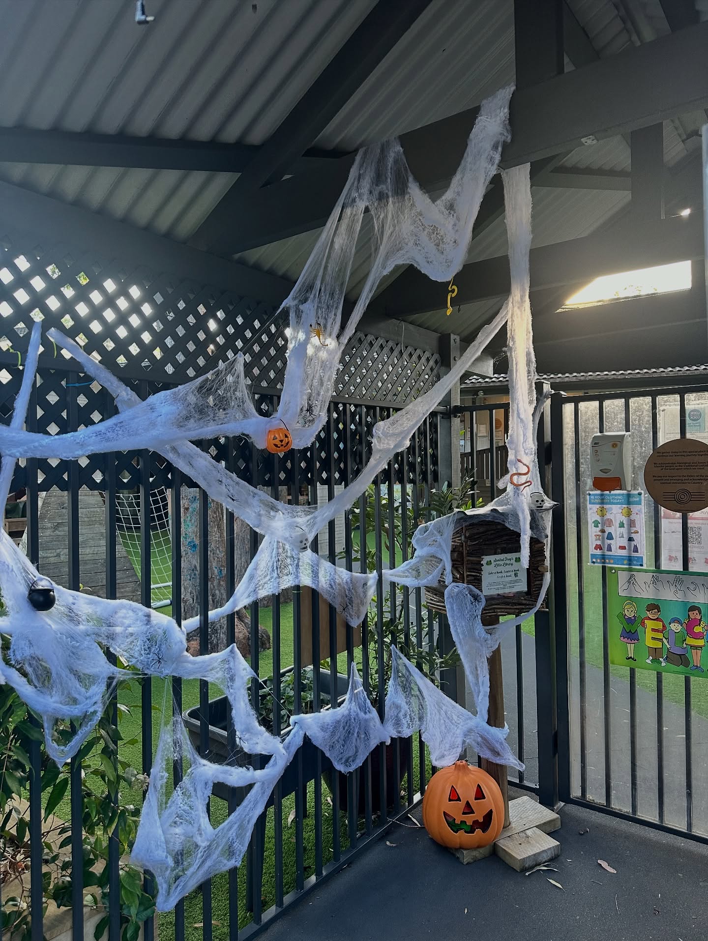 Were excited for a spooky filled Friday here in our beautiful sunny environment 🎃🌱