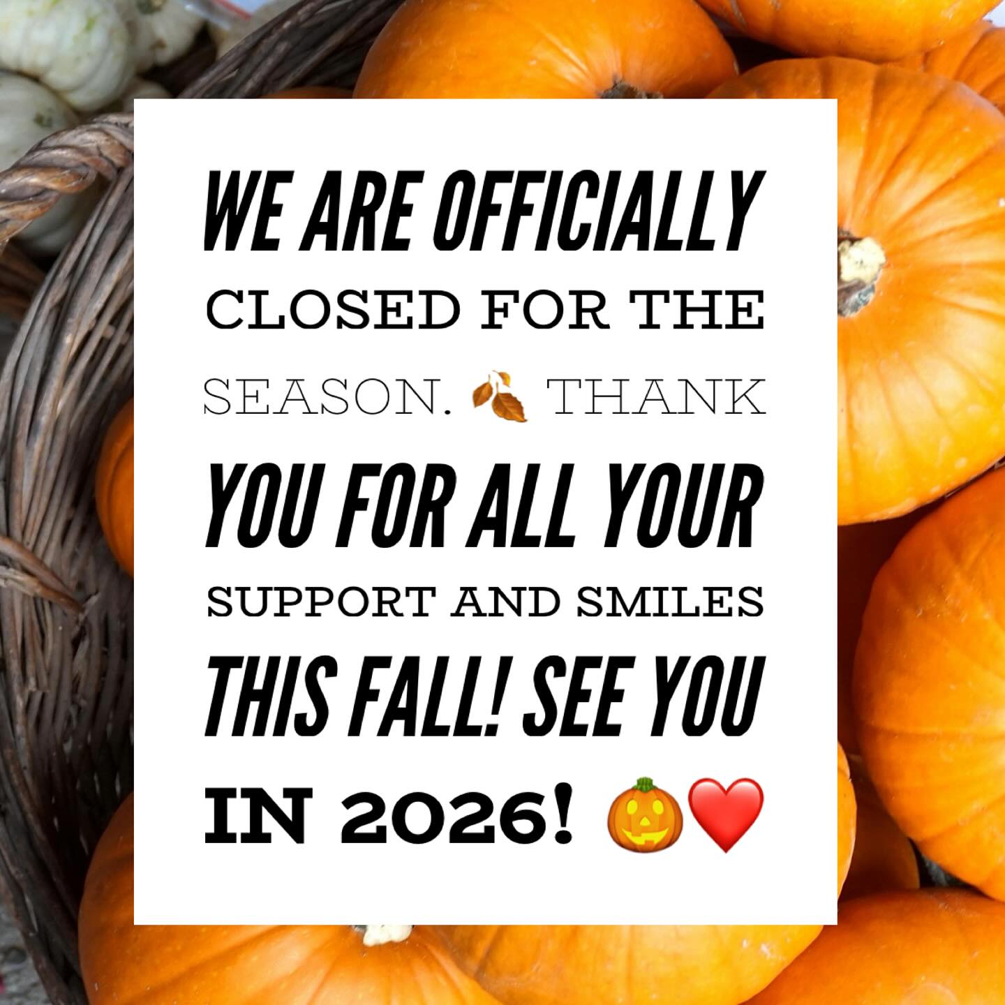 #ThankYou #ManyThanks #Closed #PickYourOwn #DogFriendly #MonroeTownship #PumpkinPatch #Pumpkins #PumpkinFarm #PumpkinPicking #NewJersey #RedWagonFarm #RedWagonFarmNJ #MiddlesexCounty #NJFun #NJPumpkinPicking #NJPumpkinPatch #NJFamily #FallFun #FarmLife #FallVibes #AutumnAesthetic #FallSeason #PumpkinSeason #OctoberVibes #HelloFall #FallFeels #AutumnVibes #FYP
