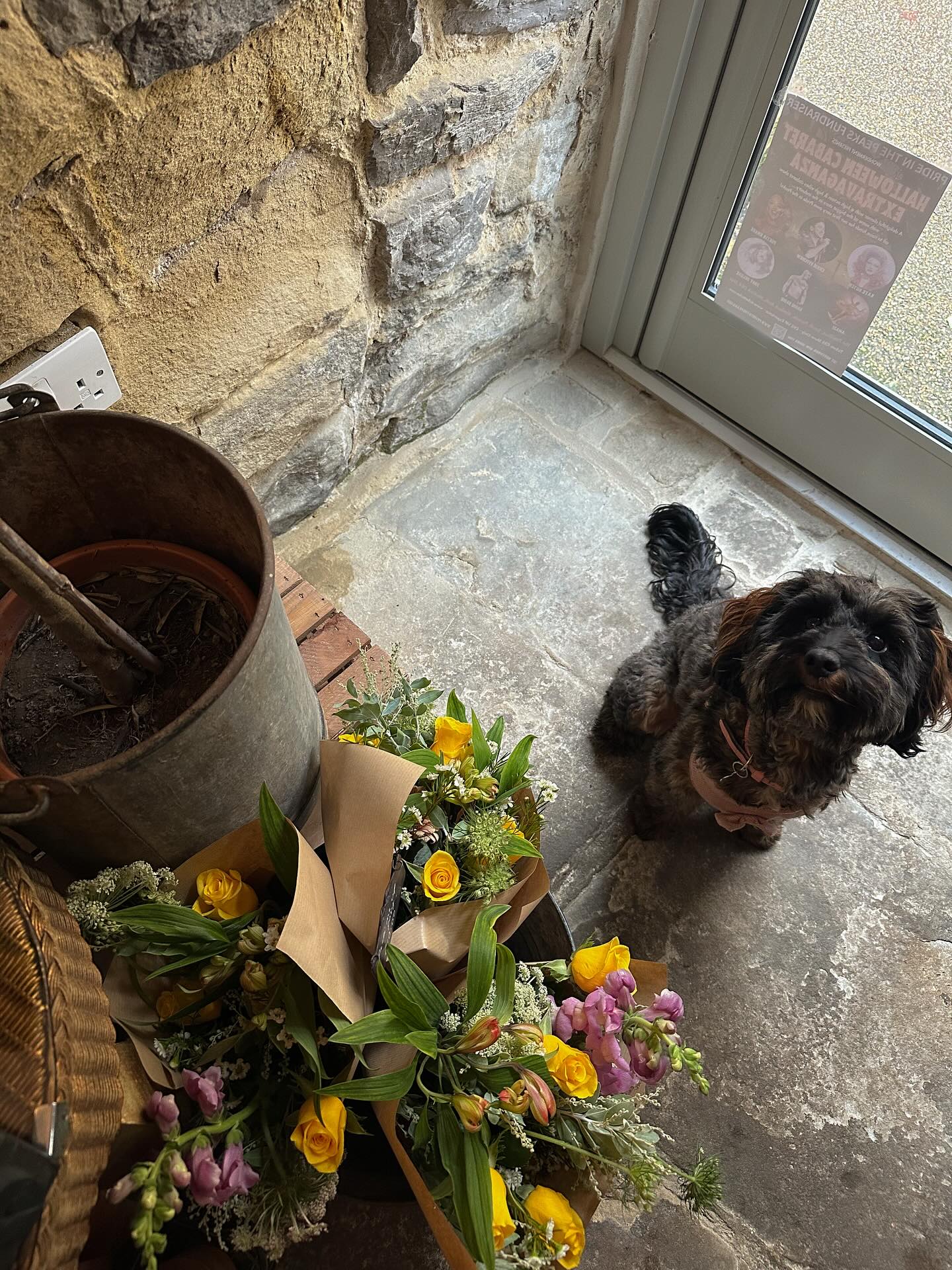 Poppy here, reminding you that our ‘pick me up posies’ are basically therapy in flower form. Get yours before the weekend!