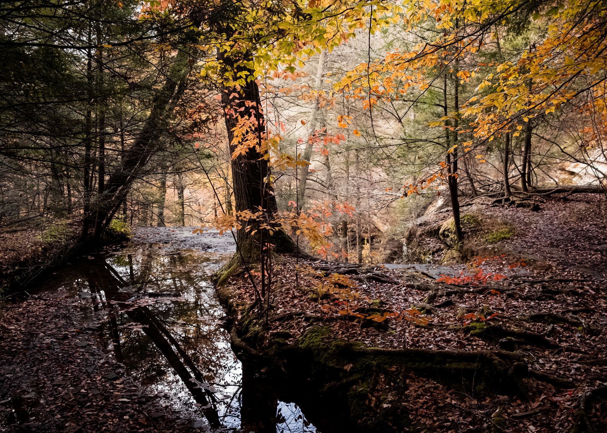 Yesterday's Walk (ft. @markymarkqw)