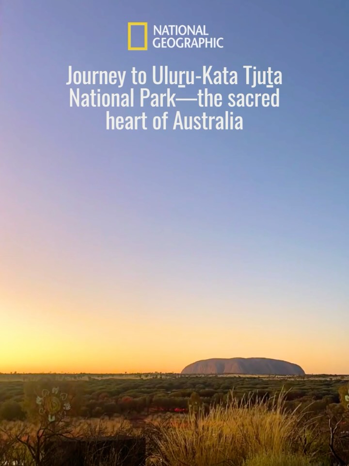 Learn about why 2026 is the time to visit Uluru-Kata Tjuta National Park in my latest for @natgeo