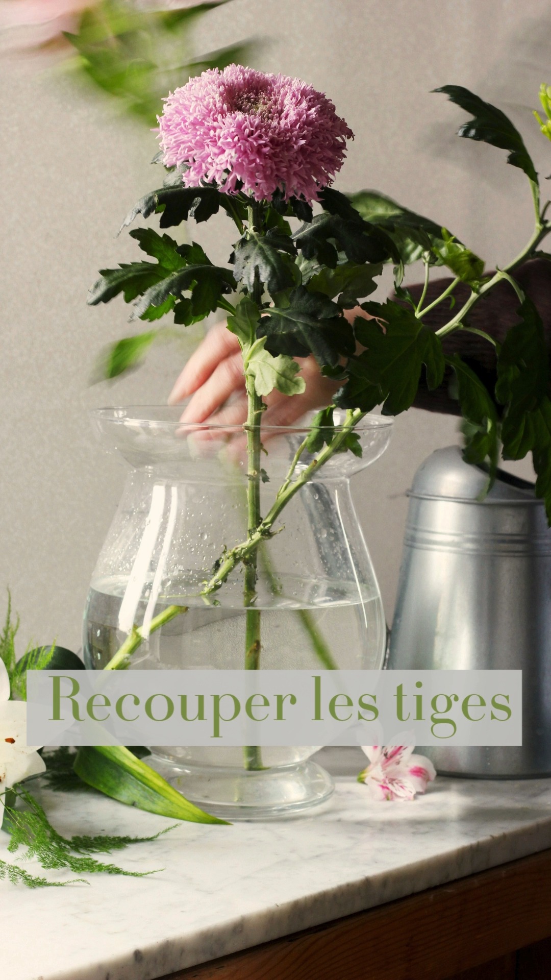 💧Changer l’eau, couper les tiges, placer le bouquet dans une pièce plus fraîche la nuit.💧
🤍Ces gestes simples prolongent la vie des fleurs — et rappellent qu’en les soignant, on s’accorde aussi un moment de douceur.🤍
💐Un bouquet vit mieux quand on le regarde chaque jour avec attention. 🌿
#fleuristepau #orvegetal #artfloral #conseilfleuriste #bouquetdurable #fleursfraîches #soindesfleurs #instafleurs #fleursdeco #fleursfrançaises #slowfloral #atelierfloral #fleuristefrance