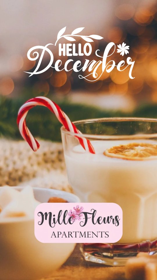 December bij Mille Fleurs Apartments Geniet van warme chocolademelk en zachte dekens binnen. Of trek eropuit om de sfeervolle kerstmarkten in de omgeving te ontdekken. Ervaar de gezelligheid van Limburg en de Voerstreek.
#hellodecember #millefleursapartments #wintervibes #cosystay #holidayseason
🇬🇧 Christmas Markets in Liège, Aachen, Maastricht, and Valkenburg
The Christmas markets in Liège, Aachen, Maastricht, and Valkenburg are all beautiful and unique, each with its own charm and atmosphere. Here are some highlights of each market:
Liège
• Village de Noël: The oldest and largest Christmas market in Belgium, with over 150 chalets filled with artisanal products, delicious treats, and a fairy-tale atmosphere.
• Ferris Wheel: A magical view from the Ferris wheel in the Christmas village.
• Ice Rink: A covered ice rink at Place de la Cathédrale.
Aachen
• Weihnachtsmarkt: A traditional German Christmas market with stalls, glühwein, bratwurst, Aachener printen, and Christmas concerts around the Cathedral.
• Typical German Delicacies: Enjoy Christmas pastries and warm drinks at the cozy stalls.
Maastricht
• Magical Maastricht: The Christmas market at Vrijthof with an ice rink and a Ferris wheel, offering a beautiful view of the numerous lights in the city.
• Fairy-tale Atmosphere: The market is decorated with Christmas lights and atmospheric light shows.
Valkenburg
• Christmas Town Valkenburg: Transformed into a Christmas town from mid-November with Christmas markets in the marl caves, beautifully lit above-ground stalls, and Christmas parades.
• Underground Markets: Unique Christmas markets in the Gemeentegrot and the Fluweelengrot.
• Magical Atmosphere: The market is adorned with thousands of Christmas lights and festive music.