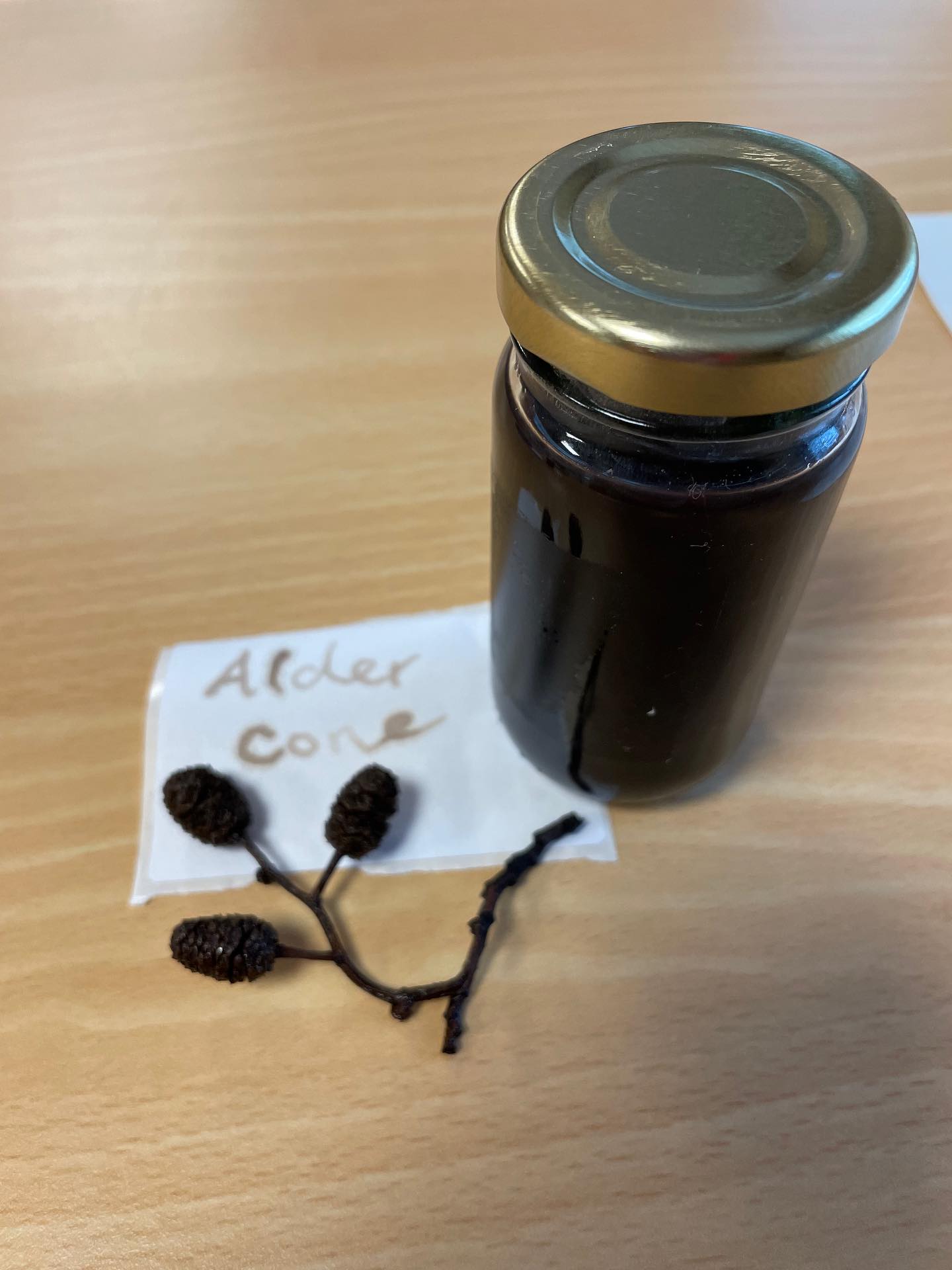 Autumnal adventures 🍂
A few pictures from our chilly autumn forage at @kilmalliecfandgarden yesterday. As the season shifts pickings are thinning out along the canal path. Despite many of the plants heading back to the earth for the winter we still managed to forage a few things for making natural detergents for cleaning in the home, as well as making some inks from nature as well. Our favourites were oak gall ink and alder cone, though we did experiment with other plants too. What a fun day!
My next event at Kilmallie will be a half day fermentation workshop on 22nd November. Places are booking up so make sure you get in touch with Carol Anne at @kilmalliecfandgarden to book.
.
.
.
.
.
.
#autumn #autumnforaging #foraging #naturalink #forager #seasonal #fortwilliam #scottishhighlands #makeyourown