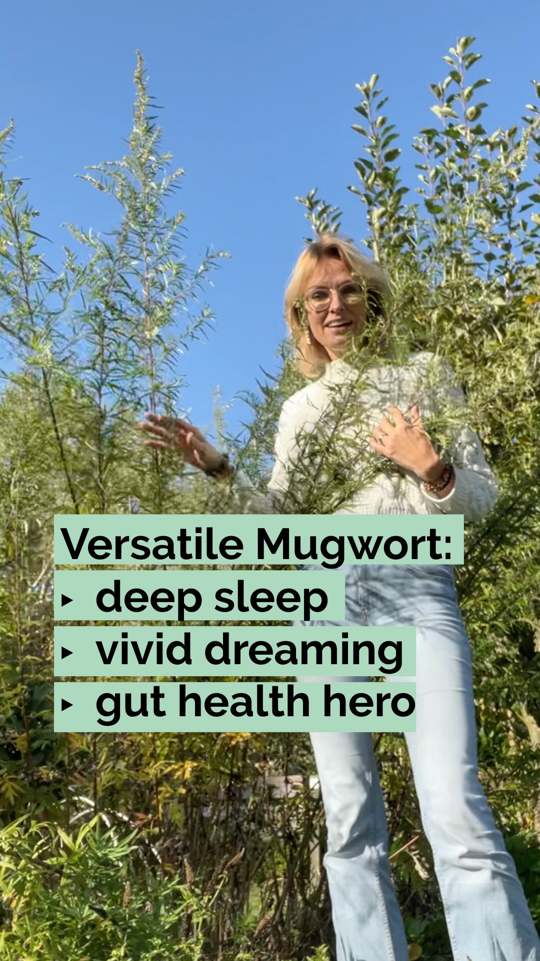 Some people view Mugwort as a ‘weed’. But this magical plant has been treasured for ages for its ability to provide deep sleep 😴, enhance vivid dreaming, and offer stress relief.
And that’s not all—this ancient herb also supports hormone balance, gut health, and helps to ease tension and negative moods.
If you don’t like the slightly bitter taste of Mugwort tea, try making a tincture using the leaves and flowering tops to support hormonal and menstrual problems. And if you want deep sleep, try putting dried Mugwort leaves and flowers in your pillow case.
Are you going to plant Mugwort in your own garden next season? I think it’s a wonderful addition to your home apothecary.
What do you think?
⚠️ CAUTION: Mugwort should not be used if you are pregnant, as it can stimulate uterine contractions. Always consult with a healthcare professional before use.
📌 Save this if you think Mugwort might help you or a friend
💚 Follow@helloherbal.world for tips and DIYS for for natural health, non-toxic living and herbal remedies
#Mugwort #DeepSleep #VividDreams #HerbalStressRelief #HomeApothecary #HerbGarden #GrowYourOwnMedicine #DreamHerbs #HealingPlants #MugwortMagic #HerbalRemedies #hormonalbalance #menstrualproblems #GutHealth #HerbGarden #PlantMedicin #growyourownherbs