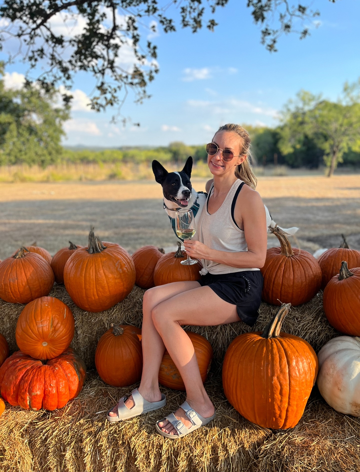 It’s going to feel like FALL in Central Texas soon & we are here for it! Join us on Sunday for the ultimate fall vineyard-side flow at @fallcreekvineyards at noon. Stay after yoga & taste two wines, then get 15% off bottles of wine! 🍂🍇🎃🍷
Link in bio or on @sweatpalsaustin 🎫
