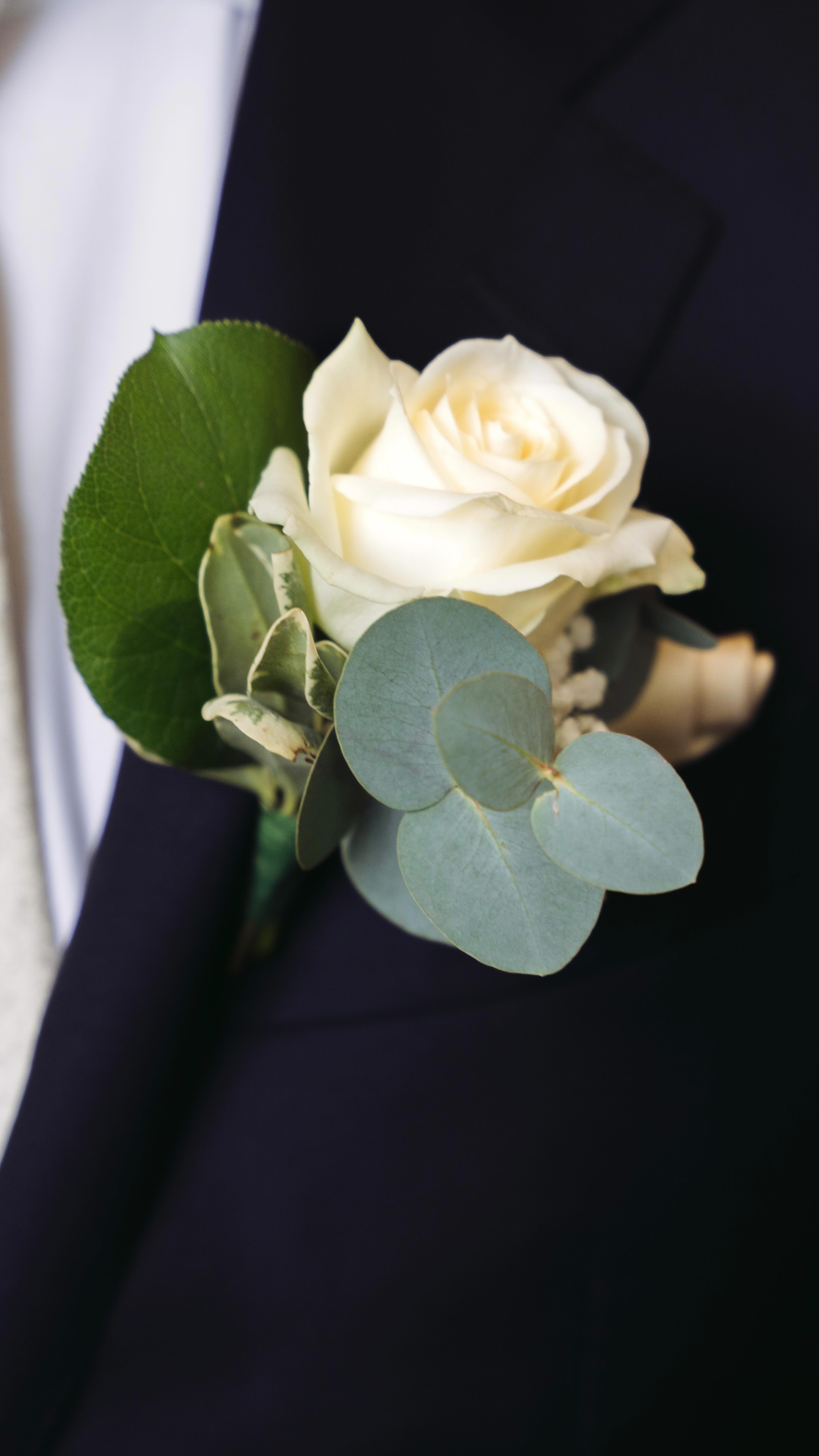Teil zwei unserer Behind-the-Scenes-Aufnahmen von der wunderschönen Hochzeit nach indischer Tradition. Wie findet ihr die Einblicke?✨
•
•
•
#wedding #photography #hochzeit #fotografie #justmarried #love #lovestory #behindthescenes #traditionalweddings #weddinginspiration #hochzeit2025
