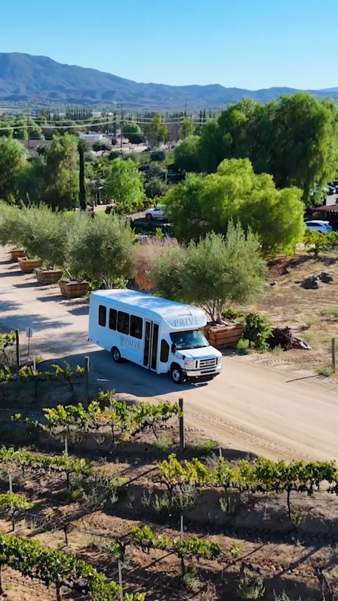 Welcome to Privé Wine Tours 🍇 where every glass tells a story.
We curate private, elevated wine tasting experiences through Southern Californias most beautiful vineyards.
Follow us for insider winery picks, exclusive highlights, and tour announcements! ☀️