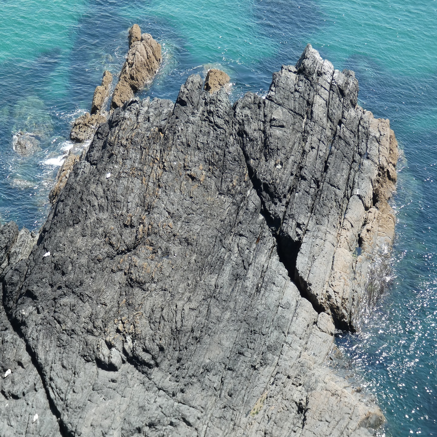 Cornwall Geowalks coming up this November…
St Ives (half-day) - Monday 10th November
Book now: https://www.cornwallgeologist.co.uk/event-details-registration/st-ives-guided-geowalk-half-day-monday-10th-november-2025
Tin Coast (half-day) - Friday 14th November
Book now: https://www.cornwallgeologist.co.uk/event-details-registration/tin-coast-guided-geowalk-half-day-friday-14th-november-2025
Lizard Point (half-day) - Sunday 16th November
Book now: https://www.cornwallgeologist.co.uk/event-details-registration/lizard-point-guided-geowalk-half-day-sunday-16th-november-2025
Praa Sands (half-day) - Sunday 23rd November
Book now: https://www.cornwallgeologist.co.uk/event-details-registration/praa-sands-guided-geowalk-half-day-sunday-23rd-november-2025
Bosigran (half-day) - Friday 28th November
Book now: https://www.cornwallgeologist.co.uk/event-details-registration/bosigran-guided-geowalk-half-day-friday-28th-november-2025
Cornwall Geowalks are guided geology walks around Cornwall’s world-class geological sites and areas of outstanding natural beauty, guided by me! Please see the website for more details. Links in bio.
#geowalks #geotalks #learninggeology #geotours #education #geologyeducation #cornwall #cornwallcoast #cornishcoast #walkingcornwall #explorecornwall #lovecornwall #cornwallgeology #cornishgeology #geology #geologyrocks #geolife #geologist #geologistsofinstagram #learninggeology #geoadventure #exploregeology #geologicalwonders #amazingcornwall #cornwallliving #visitcornwall #geologyfieldtrip #geologylife