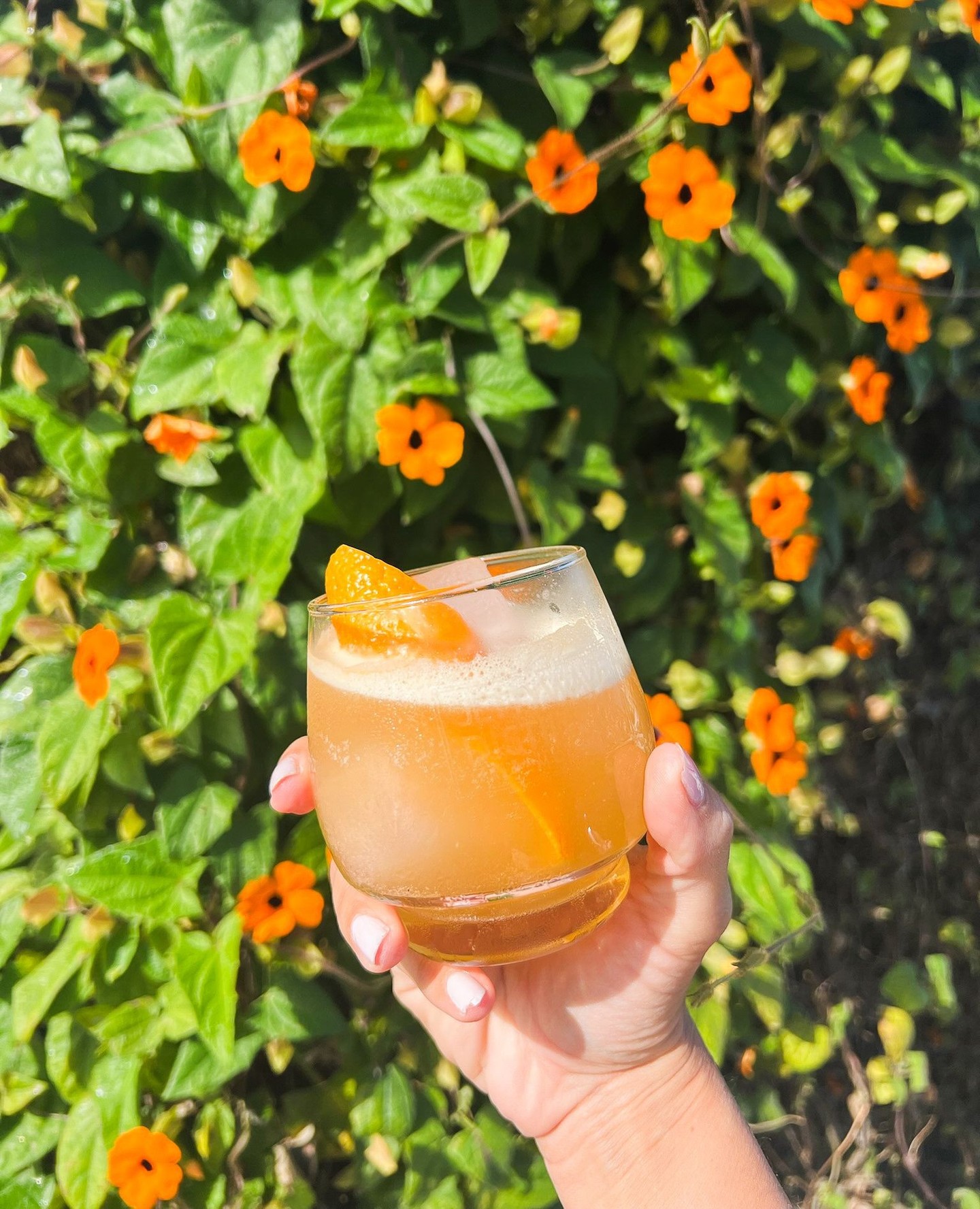 ☀️The sun is shining, the drinks are flowing and Chef's food is amazing! Megatons Acoustic is playing 2-5, see you here! 🎶
#DrinkLocal #SipLikeItMatters #CraftDistilling #DistilleryLife #Distillery #SmallBatchDistilling #CaliforniaSpirits #CraftSpirits #CaliforniaGrown #HalfMoonBay #PillarPointHarborSquad #Cheers #JettywaveDistillery