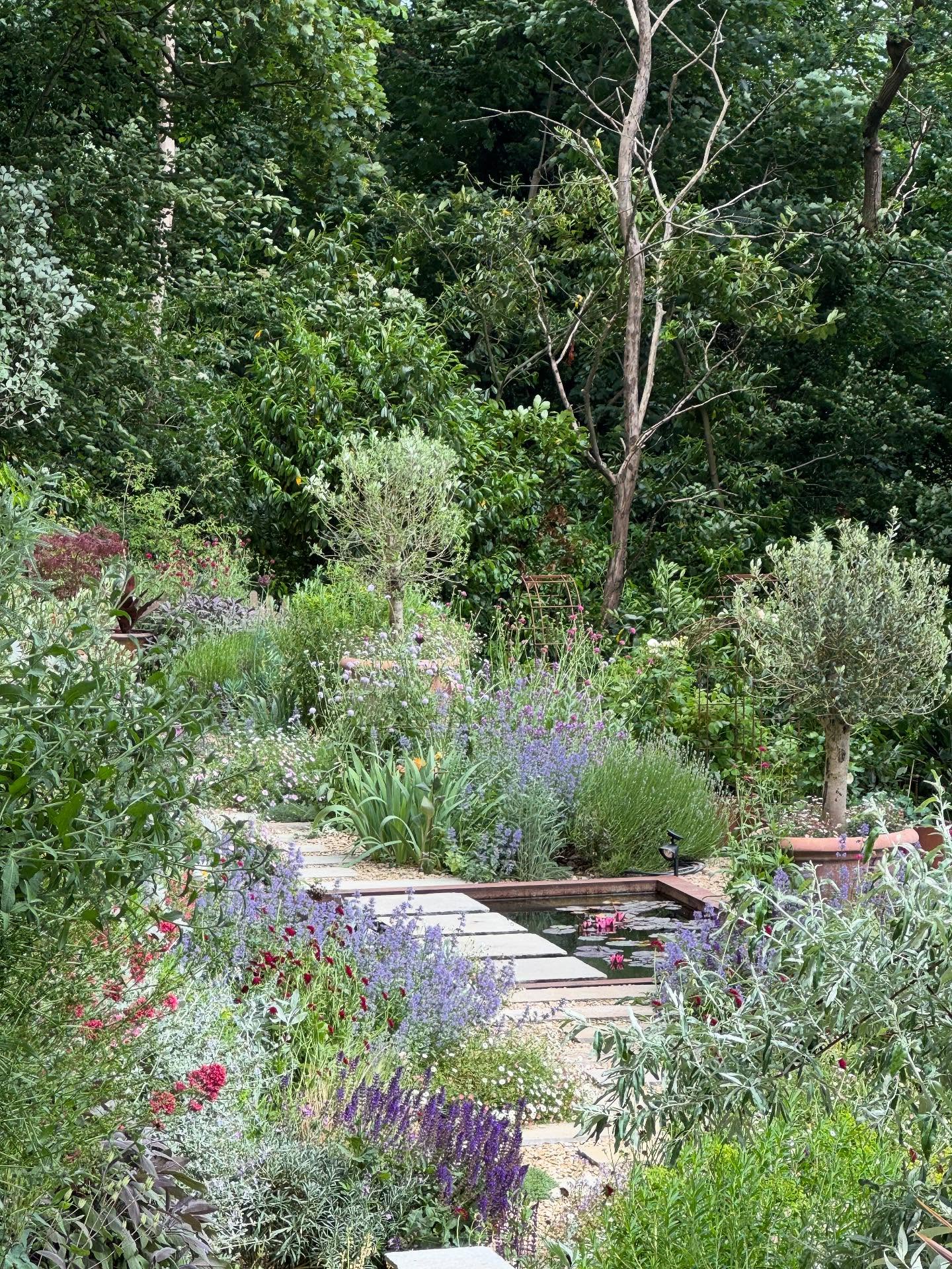 This old quarry garden has a special place in my heart and it’s been nominated for an award by the Society of Garden and Landscape Designers. It’s your last chance to vote for the People’s Choice Award for 2026 as voting closes at 5 pm on Friday, the 31st of October. Every vote counts so if you haven’t already please vote for our Garden. Scroll to the end to see some before pictures! To vote go to - sgld.org.uk/events/awards/peoples-choice/2026/vote. #peopleschoiceaward #SGLDAwards #landscapedesi̇gn #votenow #gardentransformation #fiboylegardendesign #linkinbio
