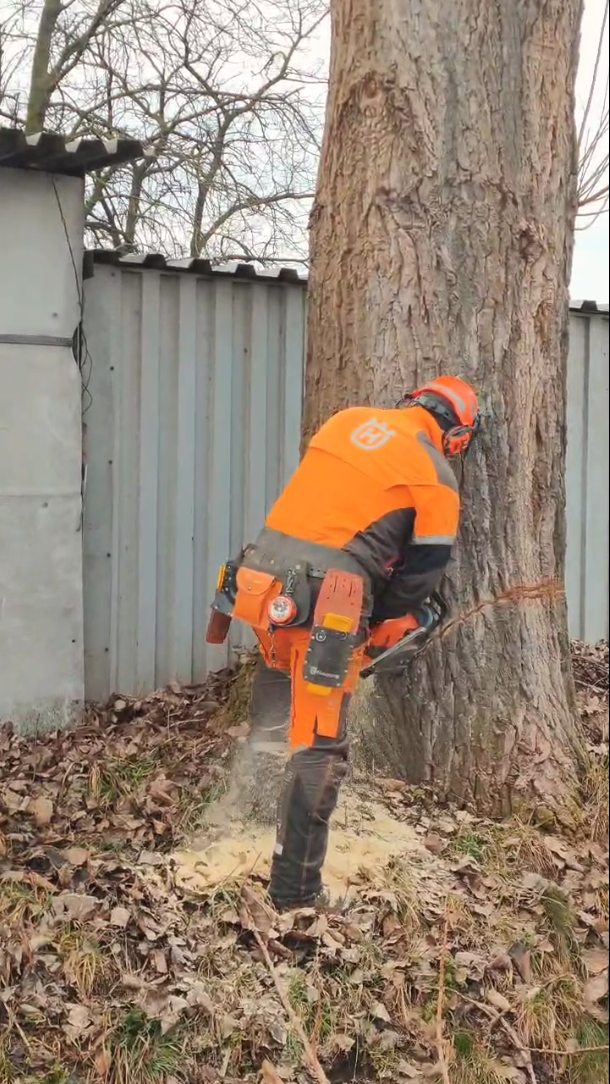 Baumfällung - seilwindenunterstützt
old but gold- der Unimog mit Werner Forstausstattung
Mit was ziehst du, wenn es drauf ankommt?👇
@baumdienst_asse
#baumfällung #lumberjack #husqvarna #husqvarnamoment #unimog #unimoglife #seilwinde #forstmaschinen #seilwindenunterstütztesfällen #stihl #chainsaw #waldarbeit #stihlpower #forstarbeit #landschaftspflege #landkreisnordhausen #naturschutz #schlepper #forstschlepper #forestry #chainsawman #forst #wald