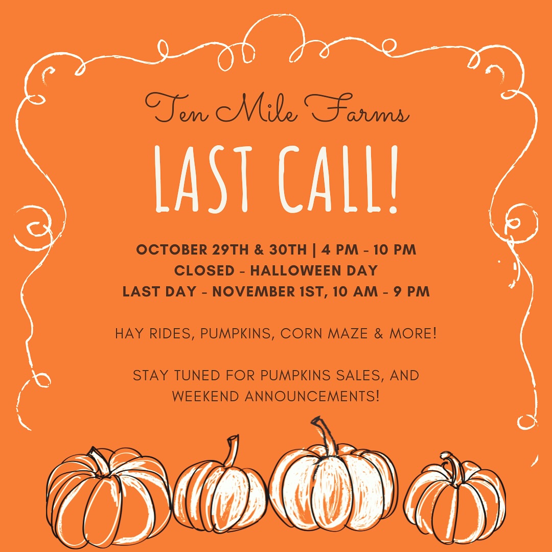 ๐ LAST CALL at Ten Mile Farms! ๐
Itโs your final chance to soak up the fall fun โ hay rides, pumpkins, corn maze & more! ๐ weโve had such a fun season and we donโt want it to end! Come say goodbye to us this week, weโve loved seeing you all! ๐๐ฝ
๐๏ธ Oct 29 & 30 | 4โ10 PM
๐ Closed Halloween Day
๐ Last Day: Nov 1 | 10 AMโ9 PM
Donโt miss out on one last weekend of fall magic at the farm! Stay tuned for pumpkin sales and weekend announcements! We have a full lineup for our last day! ๐ฝโจ
#TenMileFarms #LastCallForFall #PumpkinPatchFun #CornMazeAdventures #FamilyFallFun