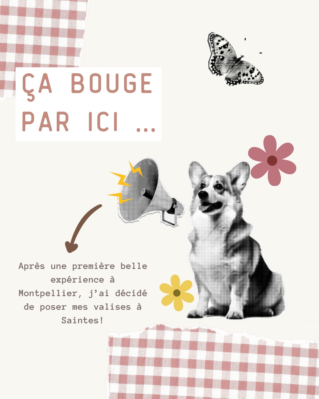 ✨Ça bouge par ici !✨
Nouveau départ, nouvelle ville, mais même passion 🧡
Je continue les toilettages à domicile dans Saintes et ses alentours, le temps de trouver mon futur local 🏡✂️
N’hésite pas à me contacter pour prendre rendez-vous ou pour avoir plus d’infos ! 🐶🐾
#toilettage #doggroomers