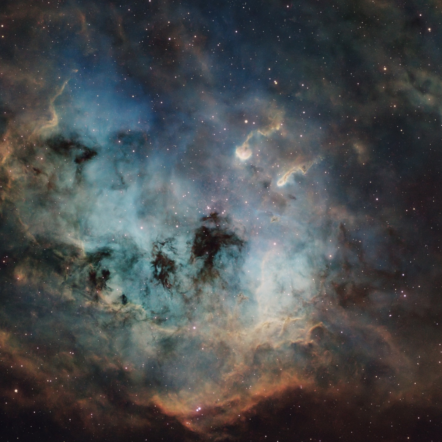 IC410 Tadpole Nebula. #astrophotography