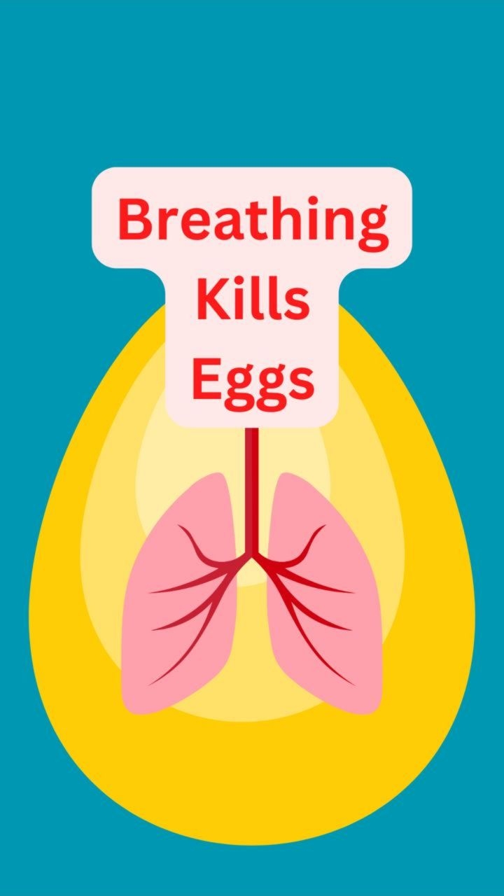 Breathing kills your eggs?
Sounds wild, but it's science! Tiny shell pores let CO2 escape → bacteria crashes the party → yolk flops, whites haze, that funky smell? Boom. Heat? Game over in days. Amid 2025 egg recalls & Diwali prep chaos, test yours: Float = bye! Sink = yum. Pro tip: Get 30-day heat warriors with Eggcellent. Link in bio! Who's tried the float test? Poll: Fresh or Floater? #EggSpoilage #FloatTest #FoodSafetyHacks #EggScience #ReelsTrend"
#EggSpoilageSigns #EggFloatTest #WhyEggsSpoil #BacteriaInEggs #EggFreshnessTest #FoodSafetyTips #EggSmellTest #SalmonellaEggs2025 #DIYEggHack #EggStorageHeat #FarmEggs #ReelsOfInstagram #FoodieScience #KitchenHacks2025 #PoultryLife