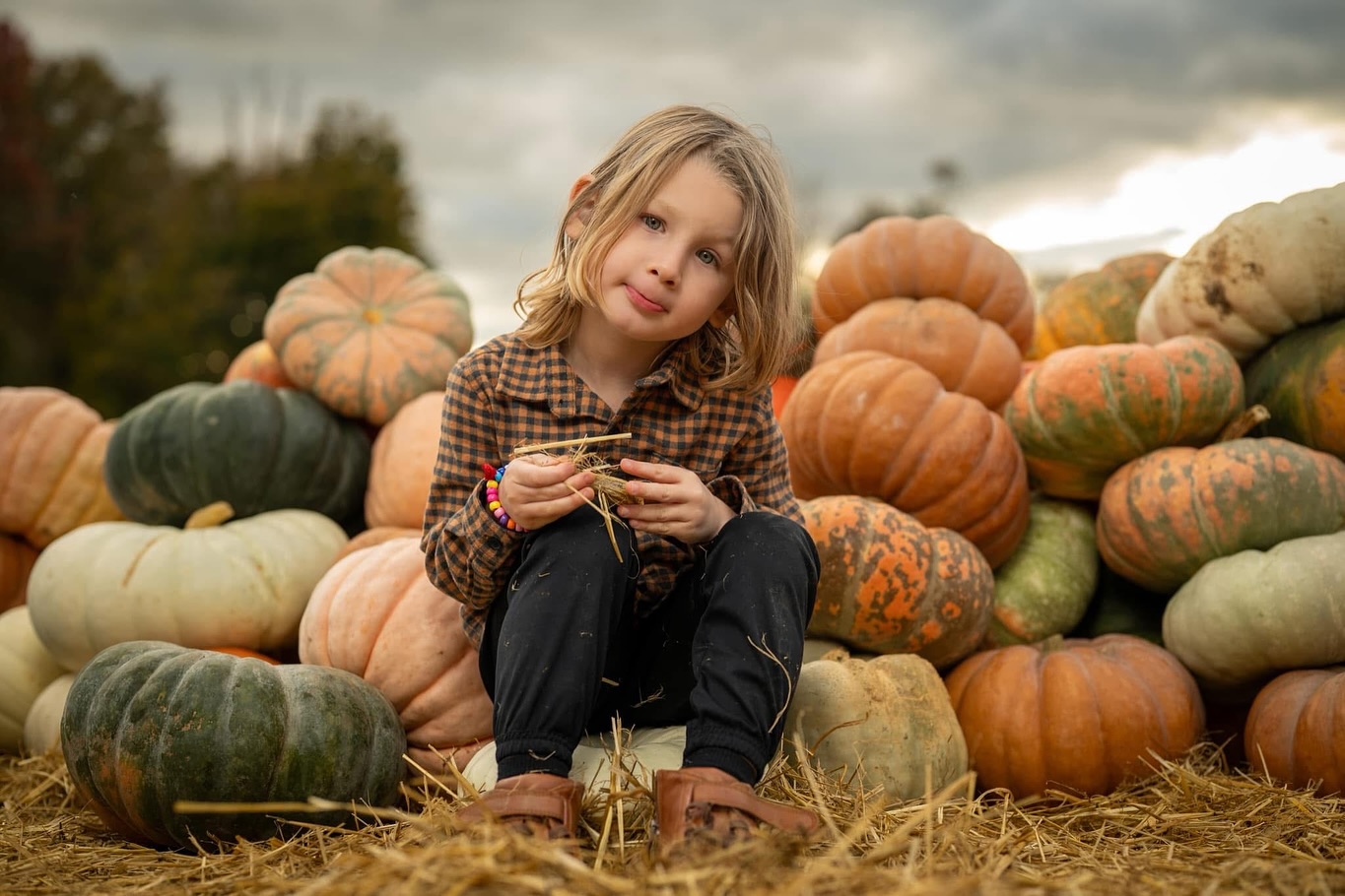All hail the pumpkin king. @farmsherwood #halloween #photography #kidsphotography #Connecticut #westchester