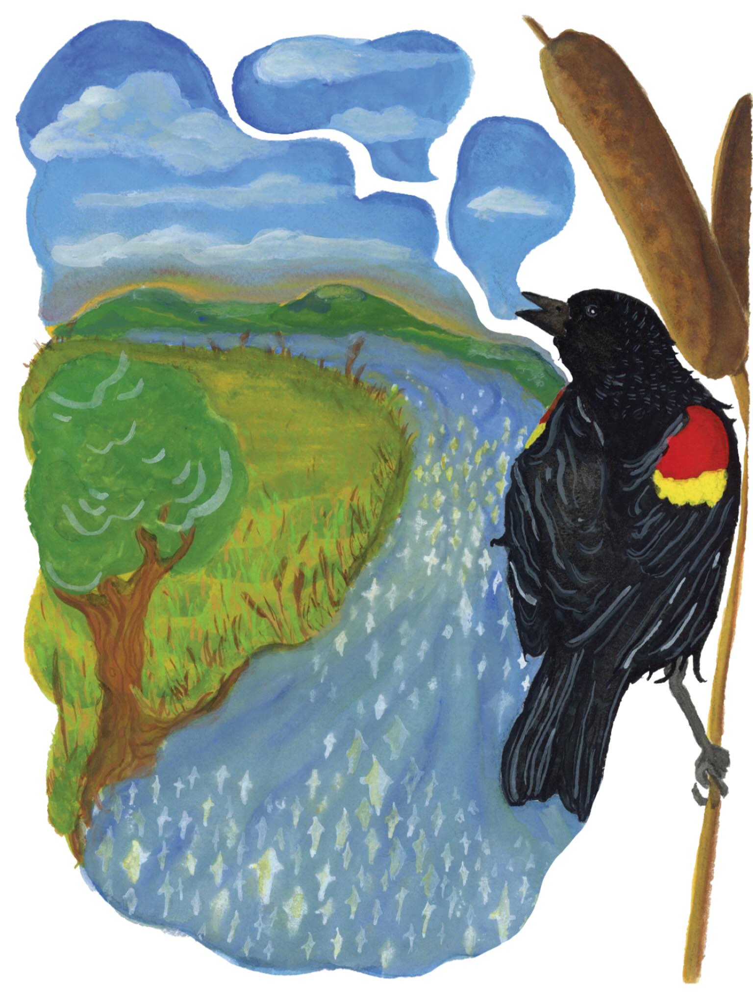 🐦⬛ Redwing Blackbird 🐦⬛
Gouache on watercolor paper.
Finally getting around to sharing this new print from this past summer, now that the Redwing Blackbirds have all gone away for winter! This painting began as a companion piece for my ‘Spring Peeper’ piece, further documentation of my favorite sounds of springtime. After a long winter, hearing those first blackbirds call under a blue sky, before the landscape has fully greened, when everyday you can smell the ground thawing a bit more around you… now that’s a beautiful moment. The blackbirds will return soon enough and I will be waiting for them!
This print is in my shop!