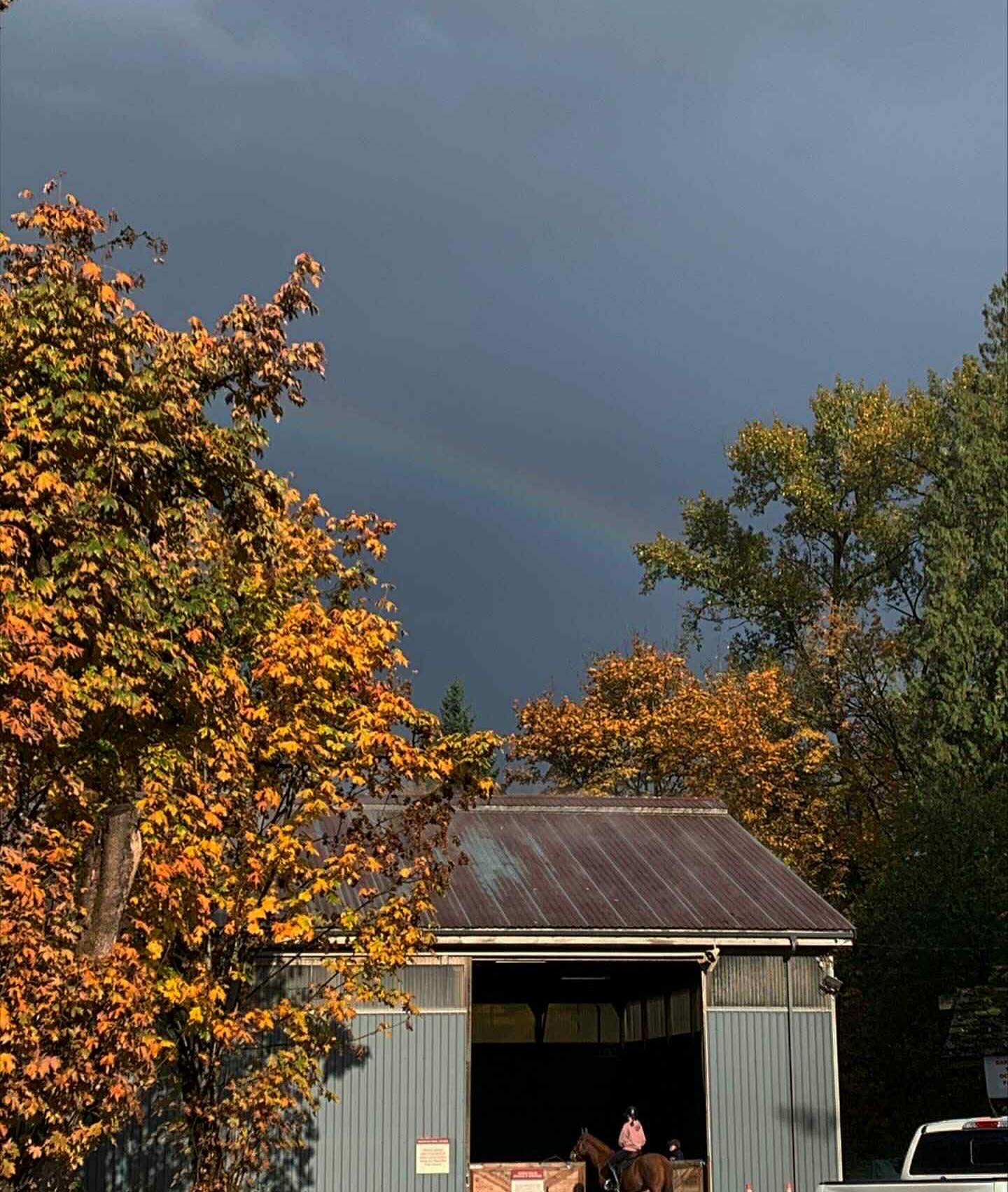 If you look closely you can see beauty everywhere 🌈
#HorsesInBurnaby #rainbow #burnabylake #horses
📸 @eva