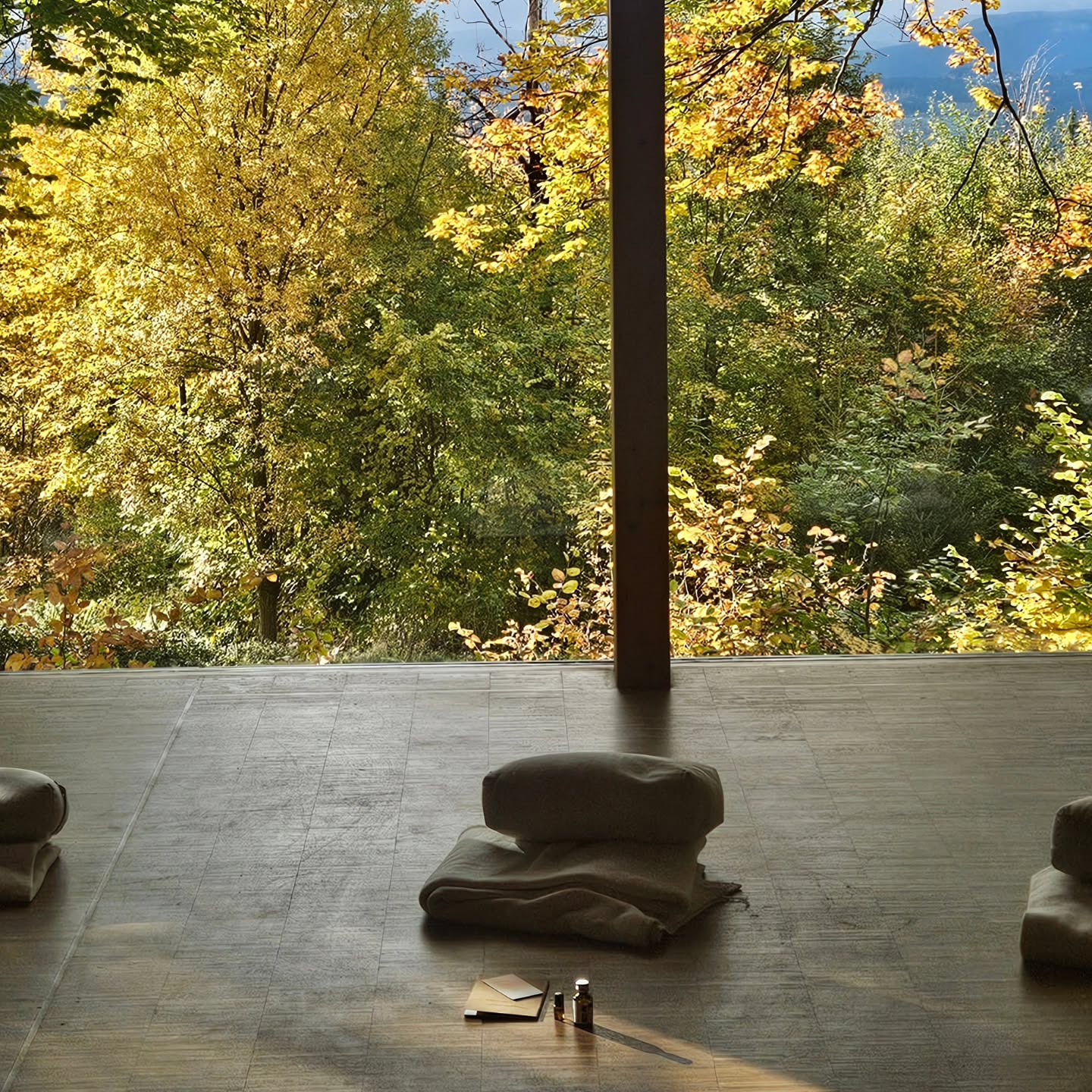 Oktober. 🍂
Vielfalt der Farben, Vielfalt der Emotionen.
Viele Bahnfahrten, viele Tränen, viele Glücksgefühle, viel Unerwartetes.
In meinen Yogastunden und Retreats hat sich viel um Transformation gedreht, eingeladen durch die Natur. Was ich bis zum Ende des Monats nicht wusste, auch für mich persönlich wurde es ein Monat der super viel losgerollt und viele Veränderungen nach sich zieht.
Was sonst noch passiert ist?
• Unser letztes Tagesretreat für dieses Jahr und laufende Anmeldungen für unsere 2026 (Tages) Retreats 🙏
• Systemisches Coachingausbildung Wochenende, Modul 5 in der Tat
• Geduldsfordernde Grippe, Notfallapotheke und Beine nur schwer still halten können
• wunderschön bunte Herbstausfahrten
• Neue Klienten, ausgebuchte Slots bis Januar 2026 😊
• weekly Yoga mit der Patagonia community
• selfcare aka Soft Yoga, Spaziergänge, Soulfood, Kaffee im Bett
• reden, reden, reden tief & leicht
• Anstoßen aufs Leben & what life throws at us!
Und jetzt sitz ich wieder zurück im Zug zurück nach München, für 2 ganze Nächte.
Im Gepäck dieses Mal eine Mischung aus Vorfreude auf Meeresrauschen und einer Sehnsucht nach für ein paar Tage an einem Ort sein.
Und dann, dann nochmal ein ganz tolles Retreat zum Jahresende und den Start zweier neuer Coachings. ♡
Was ich lernen durfte? Manchmal darf es auch der leichte Weg sein, oder die Leichtigkeit der Wegweiser. Emotionen und Ängste sind dafür da geteilt zu werden. Am Ende ist es das was uns so ganz nah bringt, in eine tiefe Ehrlichkeit und noch stärkere Verbundenheit.
🧘🏼♀️ Anmeldungen für Retreats - Link in Bio
.
.
#oktober
#growth
#rückblick #Tagesretreat #rennrad #systemischescoaching #coachingmünchen #yogamünchen #yogapatagonia