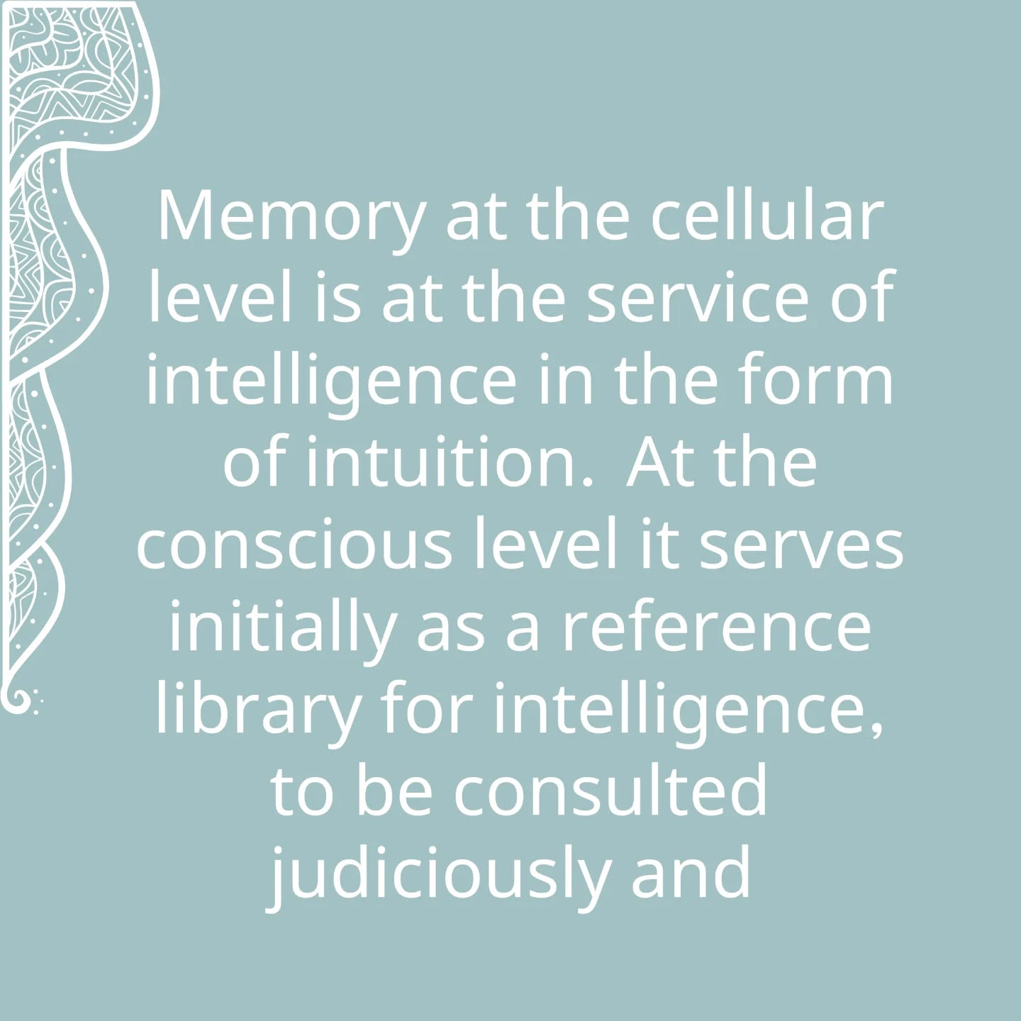 Memory at the cellular level is at the service of intelligence in the form of intuition. At the conscious level it serves initially as a reference library for intelligence, to be consulted judiciously and with scholarly detachment. When intelligence consults spontaneously with memory at each moment, then conscious intuition arises, and the word we give to conscious intuition is wisdom.
細胞級別的記憶以直覺的形式服務智性。在清醒的層面,記憶首先是智性的參考書庫;而智性的查閱須明智、嚴謹而超然。當智性在每一刻自然而然地諮詢記憶時,清醒的直覺就此出現。我們用「智慧」一詞來形容清醒的直覺。
Extracted from “Light on Life”
by B.K.S. Iyengar
#LightOnLife
#IyengarYoga #Yoga #QuarryBayYoga #NorthPointYoga #YogaForKnees #YogaForHips #Backcare #ImproveCirculation #PostureCorrection #YogaPractice #HealthyBack #HealthyNeck
#MindBodySoul
#艾揚格瑜伽 #足健 #膝痛 #健脊瑜伽 #瑜伽式子 #矯正不良姿勢 #改善血液循環 #身心靈 #艾揚格瑜伽聖經