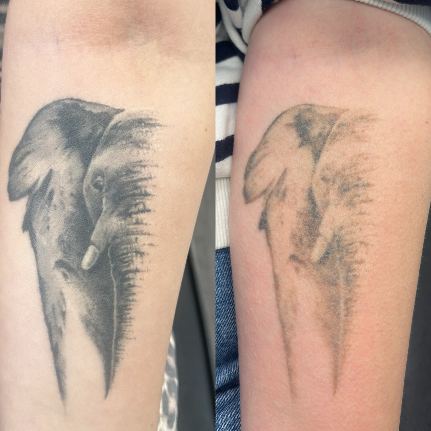 3 sessions later…💥🐘
