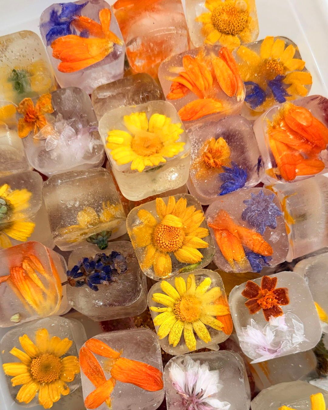 Sustainability never looked so pretty 💐
Unused edible flowers are transformed into our signature floral ice cubes.