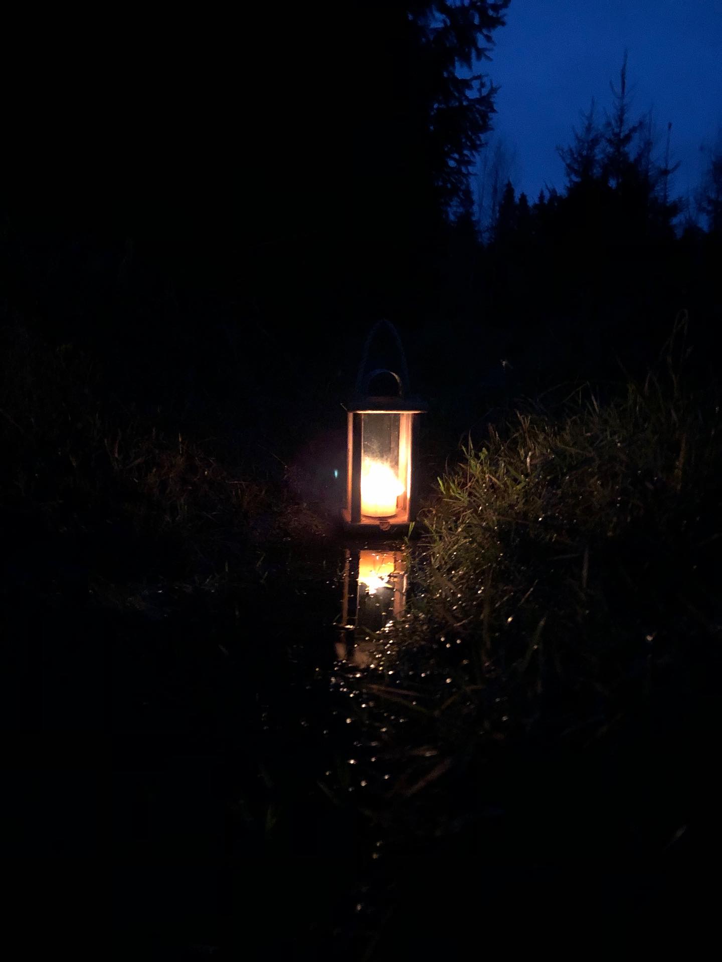 Lantern✨