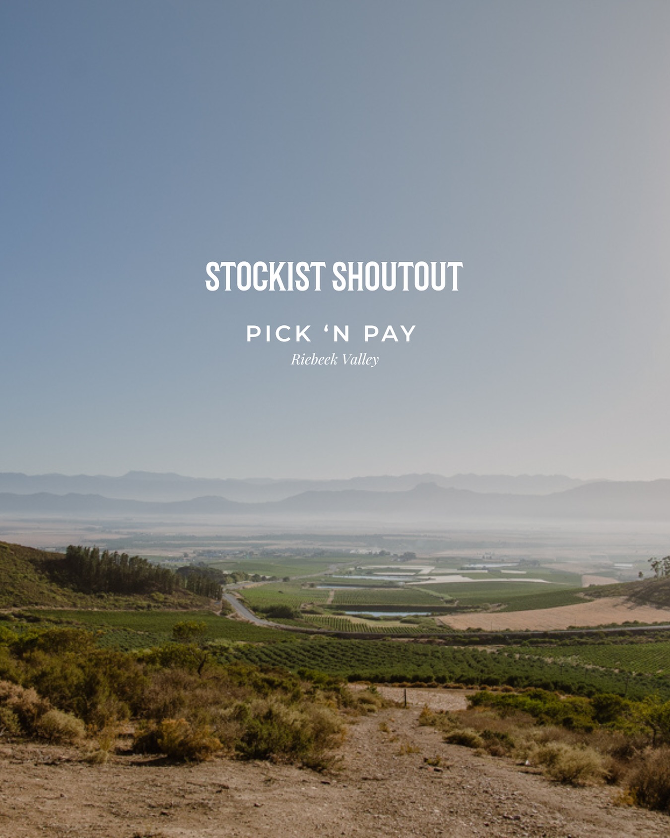 BESTER Family Wines are for sale at @picknpay Riebeek Valley, on the town square in Riebeek Kasteel. This is the ideal pick-up point if you are visiting the valley and would like to find our wine to enjoy during your stay, or to take back home of course 🛍️
Find it in the wine aisle along with a lovely selection of other local wines. If you are visiting and would prefer to have @zakkiebester pour it for you in person, give us a call or send a WhatsApp to 082 805 5586 to arrange a private tasting at home with the winemaker 🥂
zakkie@besterwines.com | 082 805 5586
#BFW #BesterFamilyWines #Stockists #BFR #CheninBlanc #SwartlandWine #SwartlandRedWine #DolceFarNienteMos