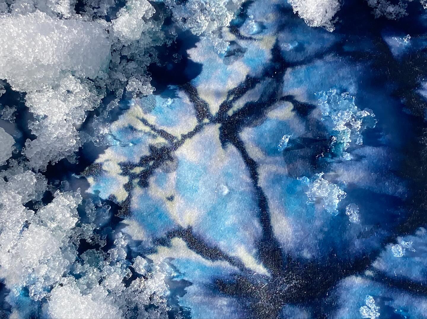 Cyanotype. Montenvers. Fire and Ice. Snow on Japanese paper. The patterns created by the scatters of both ice and delicate snowflakes that hadn’t yet been compacted are hypnotic unearthly and could not be created without the collaboration of the elements.#cyanotype#elemental#pleinair#chamonixmontblanc🇫🇷