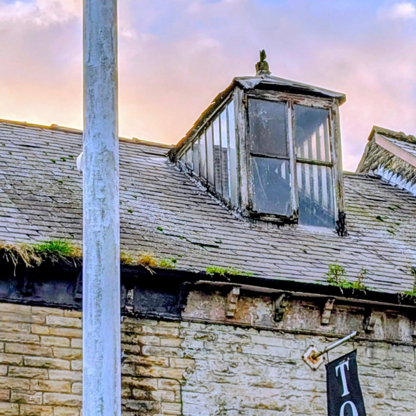 Grassed gutters!